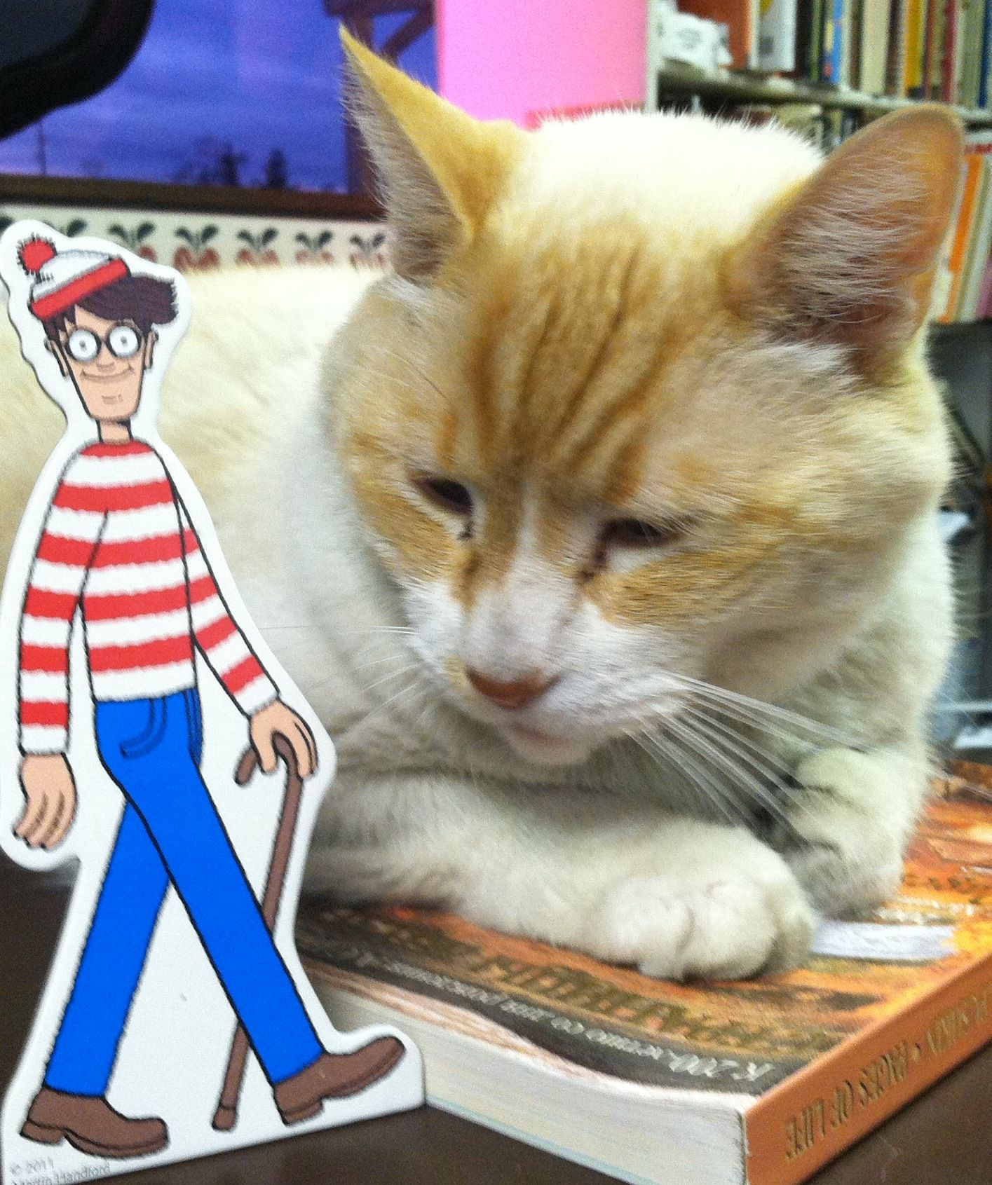 Look, I found Waldo!