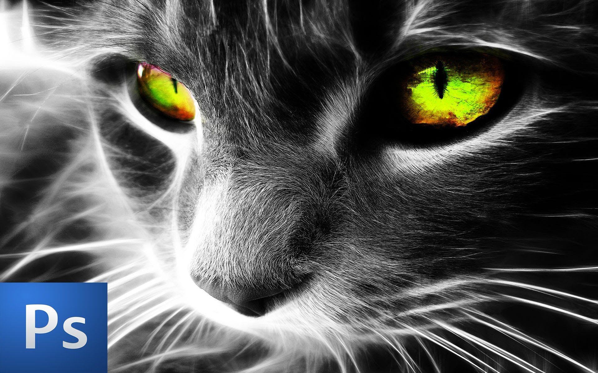 Editing A Cat's Eye Color PLUS Color Splash (Photoshop CS6) - YouTube