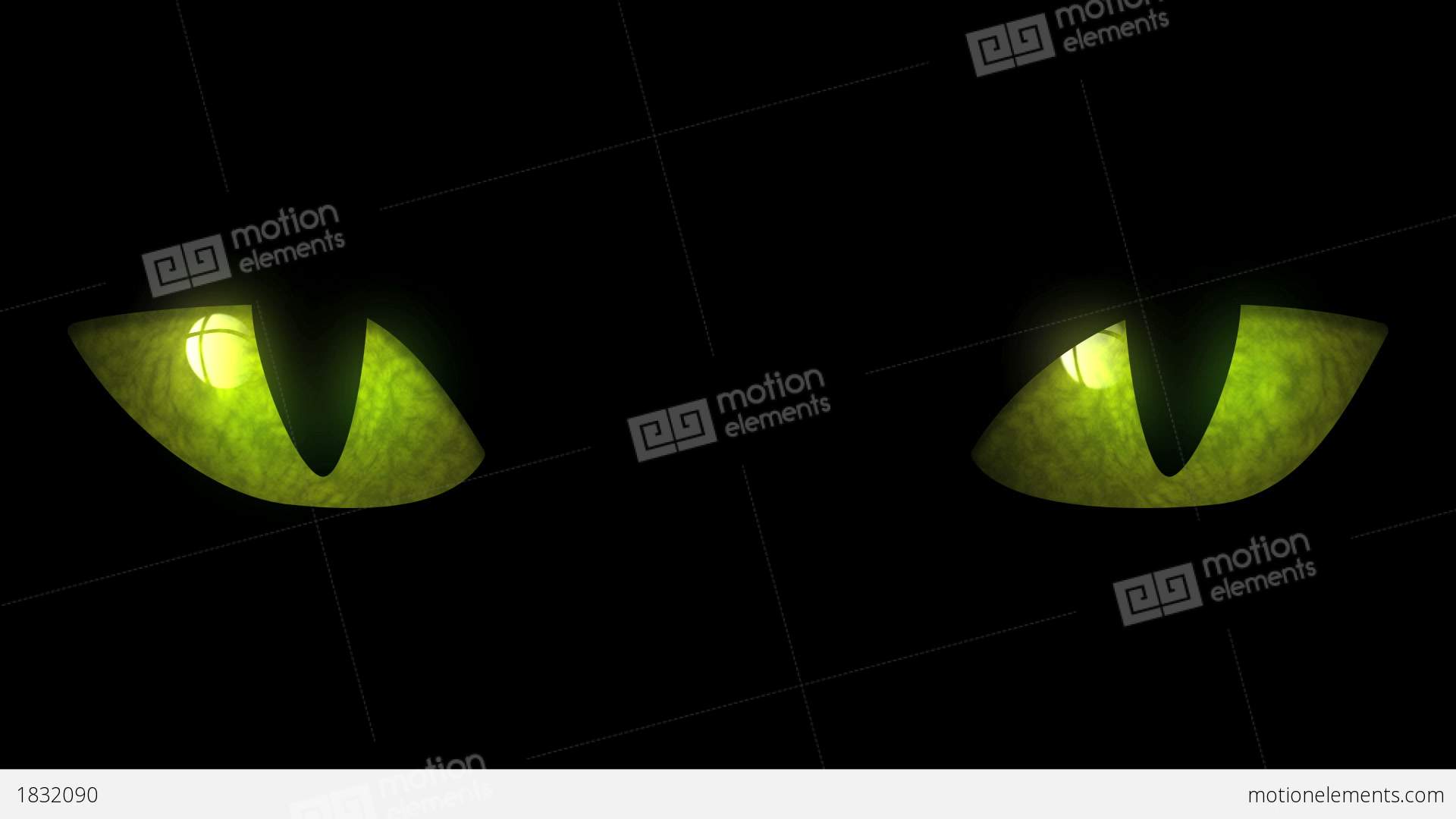 Cat Eyes Blinking Loop Stock Animation | 1832090