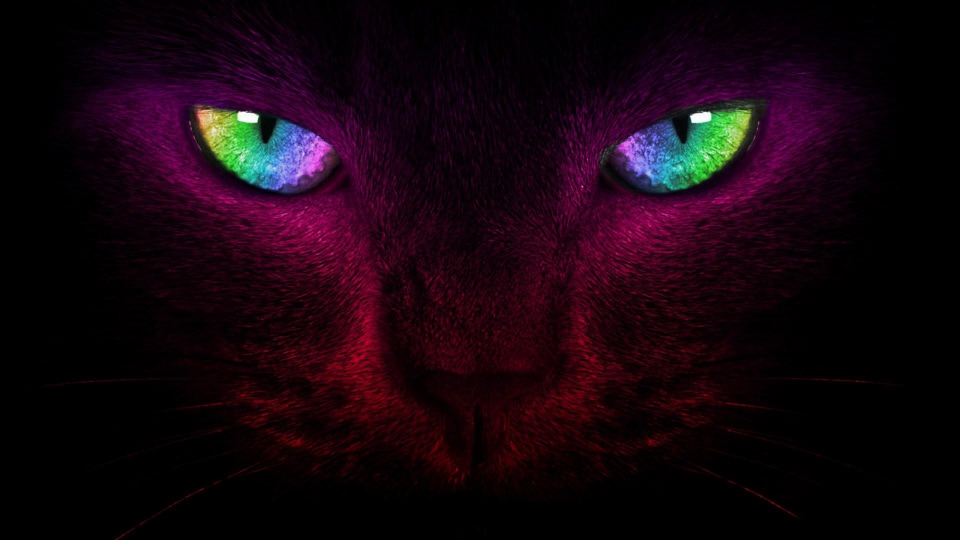 Cat Eyes - Digital Art Wallpaper | Wallpaper Studio 10 | Tens of ...