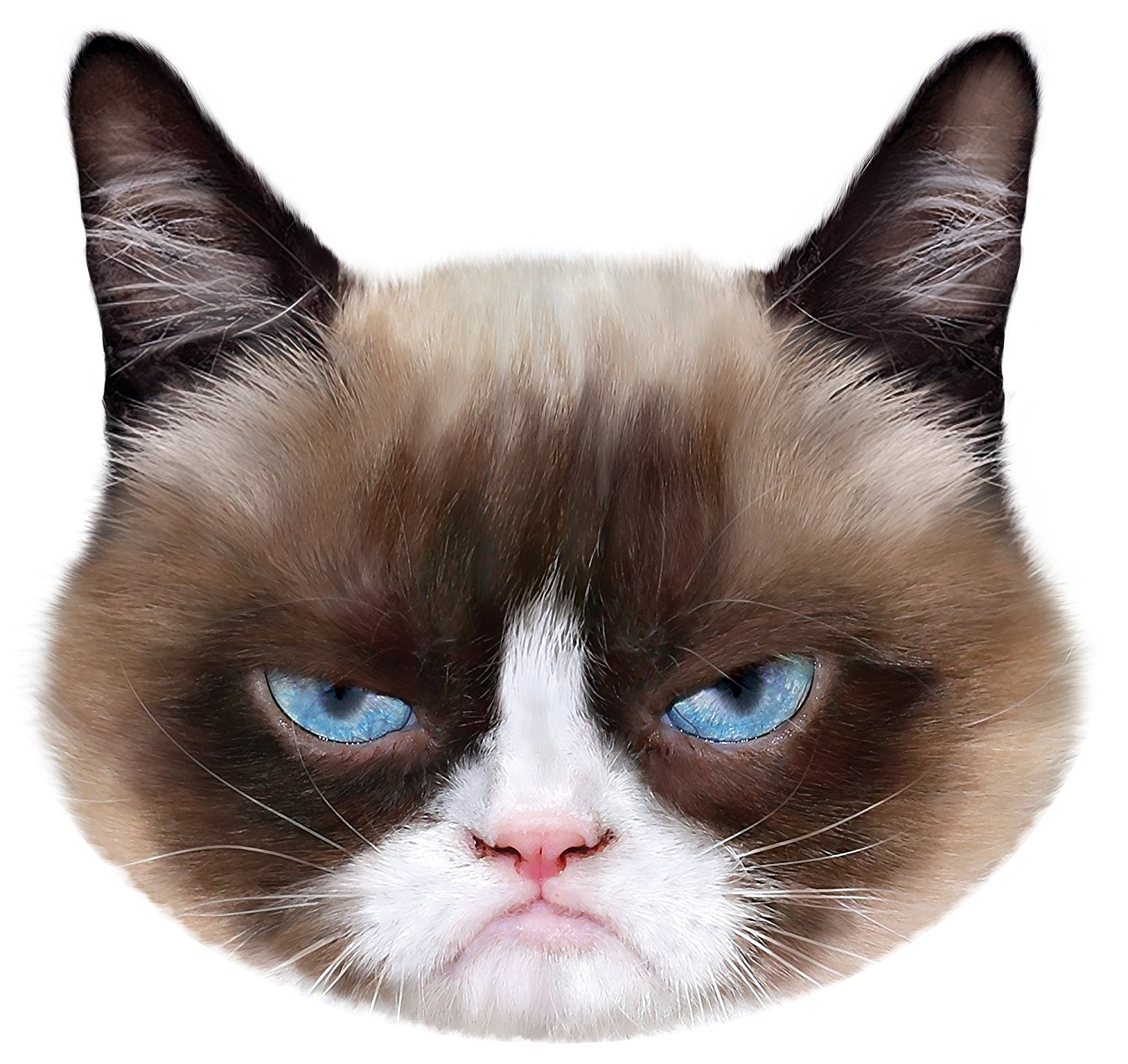 PET FACES Grumpy Cat Velour Cushion: Amazon.co.uk: Pet Supplies