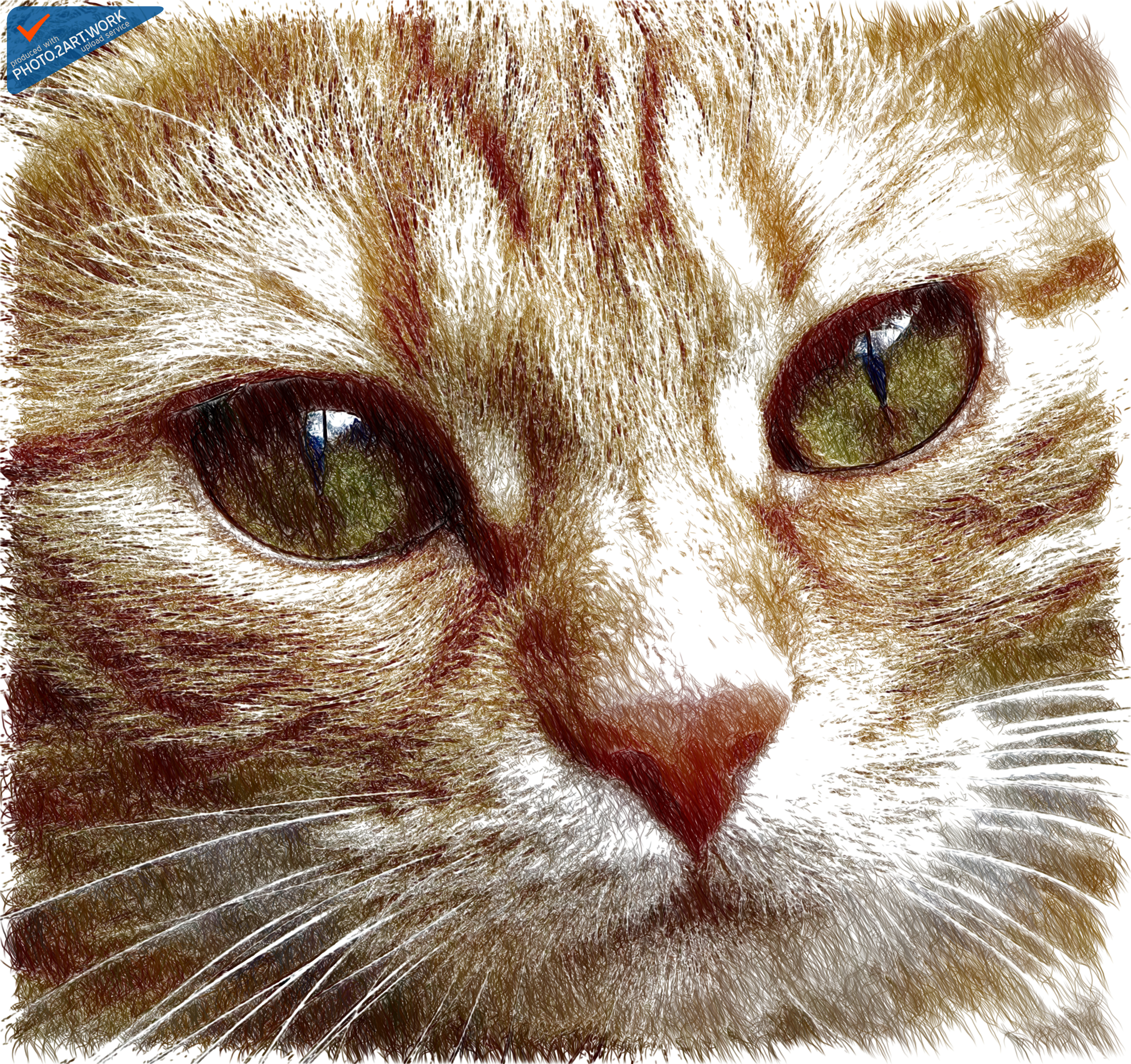 Cat - ID: 16218-130658-6952, 1334970, Free drawings, Texture, Slurk.net, HQ Photo