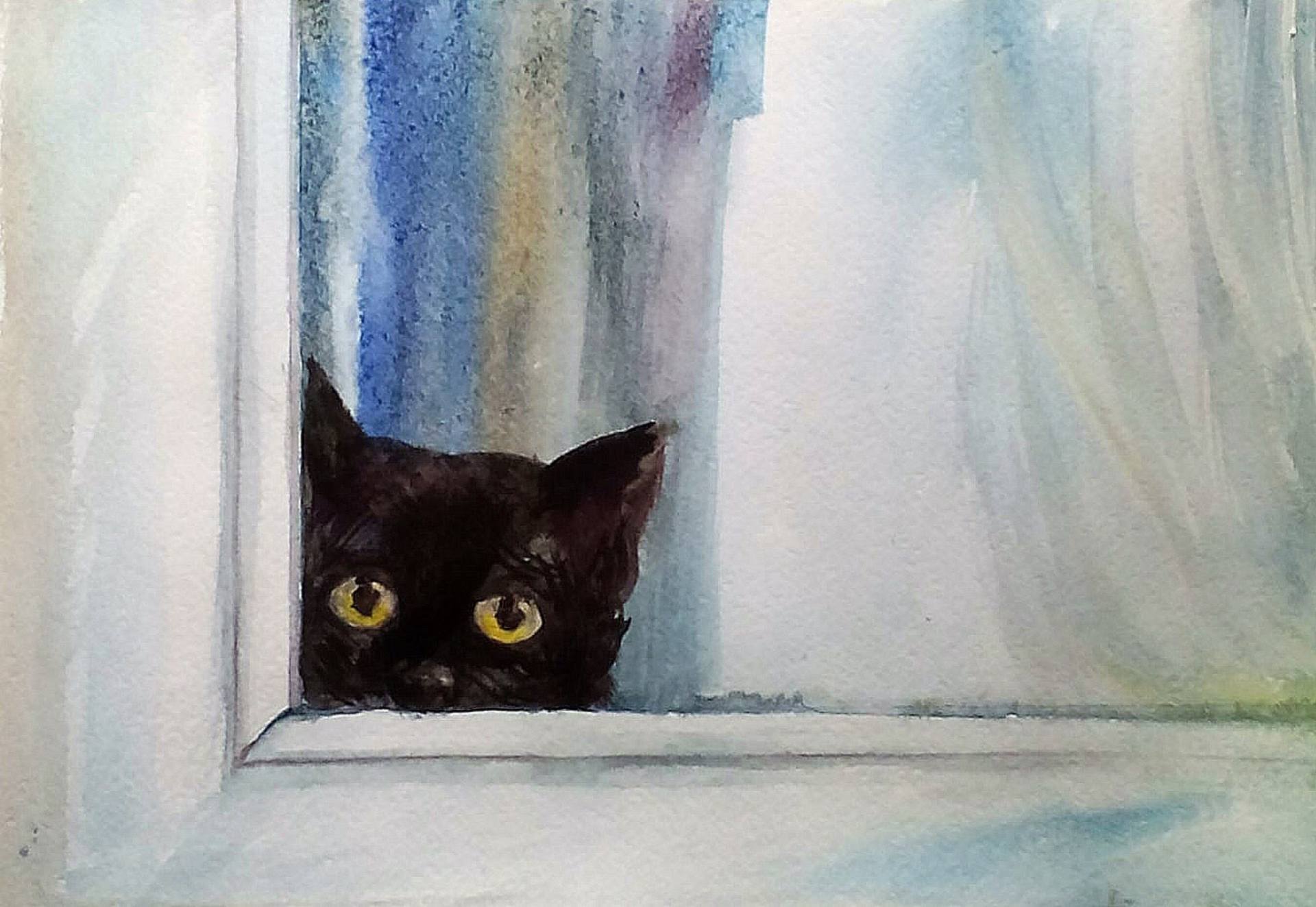 Рисунок кот выглядывает из окна