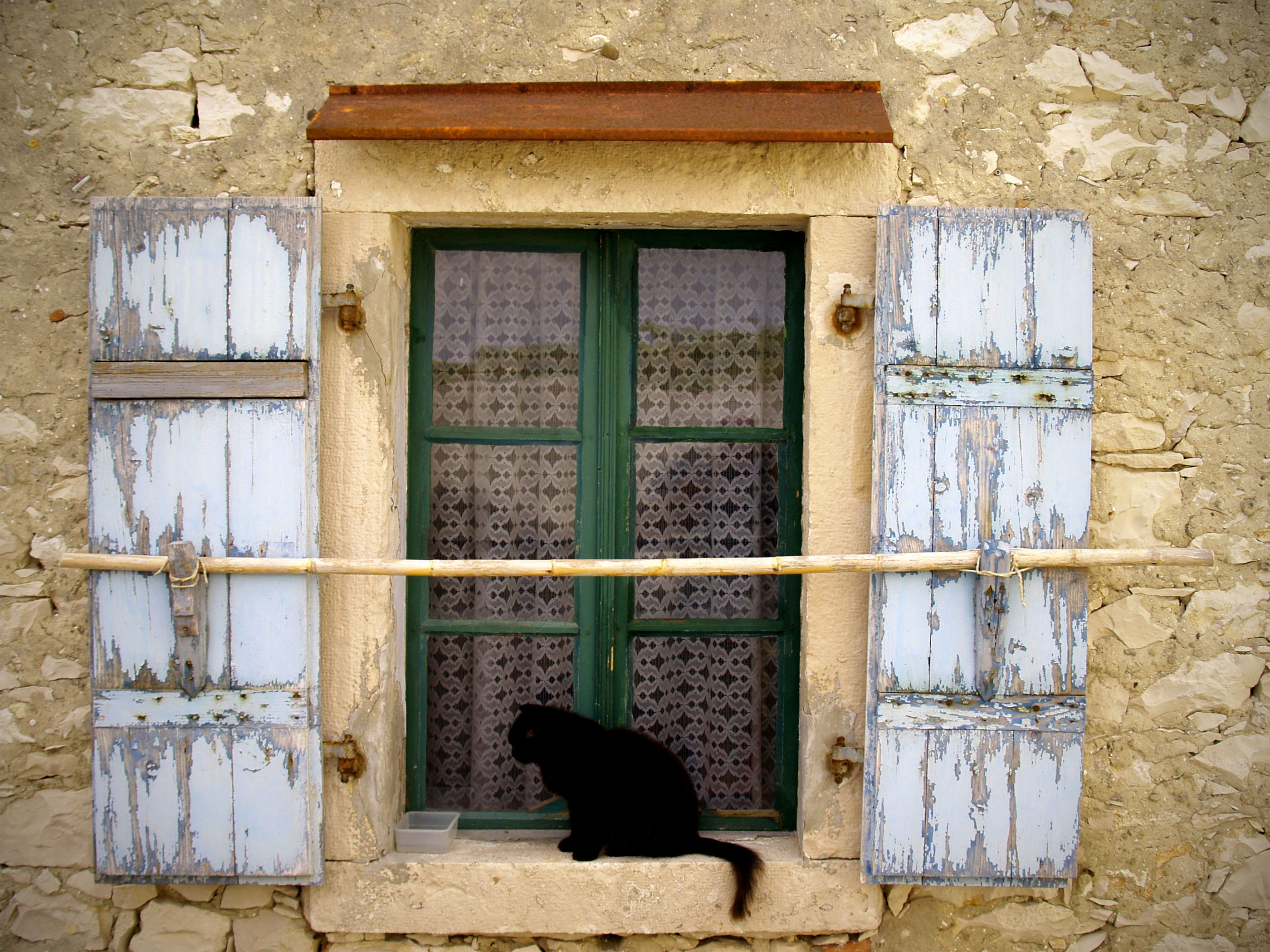 File:Cat in the window Susak.jpg - Wikimedia Commons