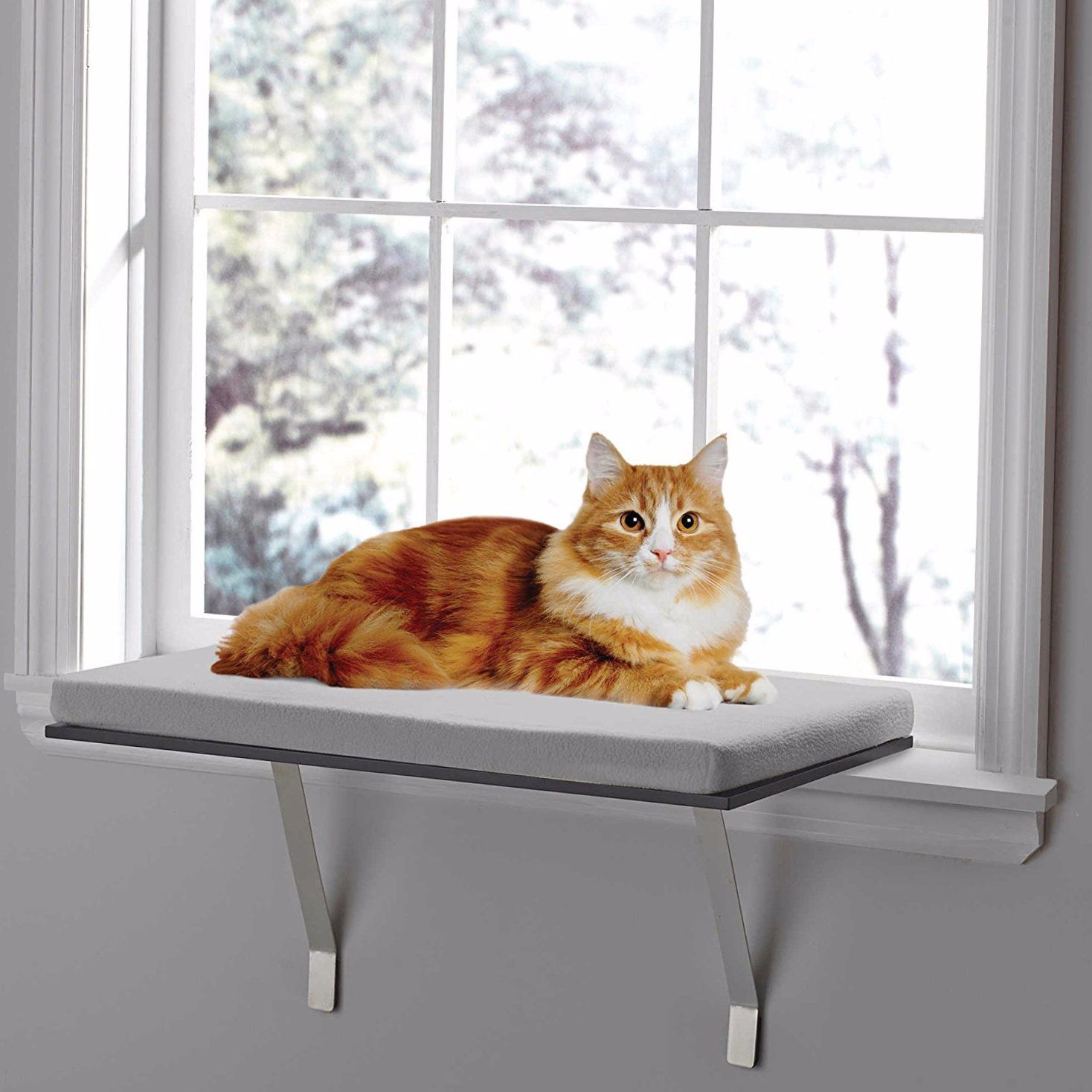 Deluxe Pet Cat Window Perch Seat Bed Kitty Shelf Mounted Hanging ...