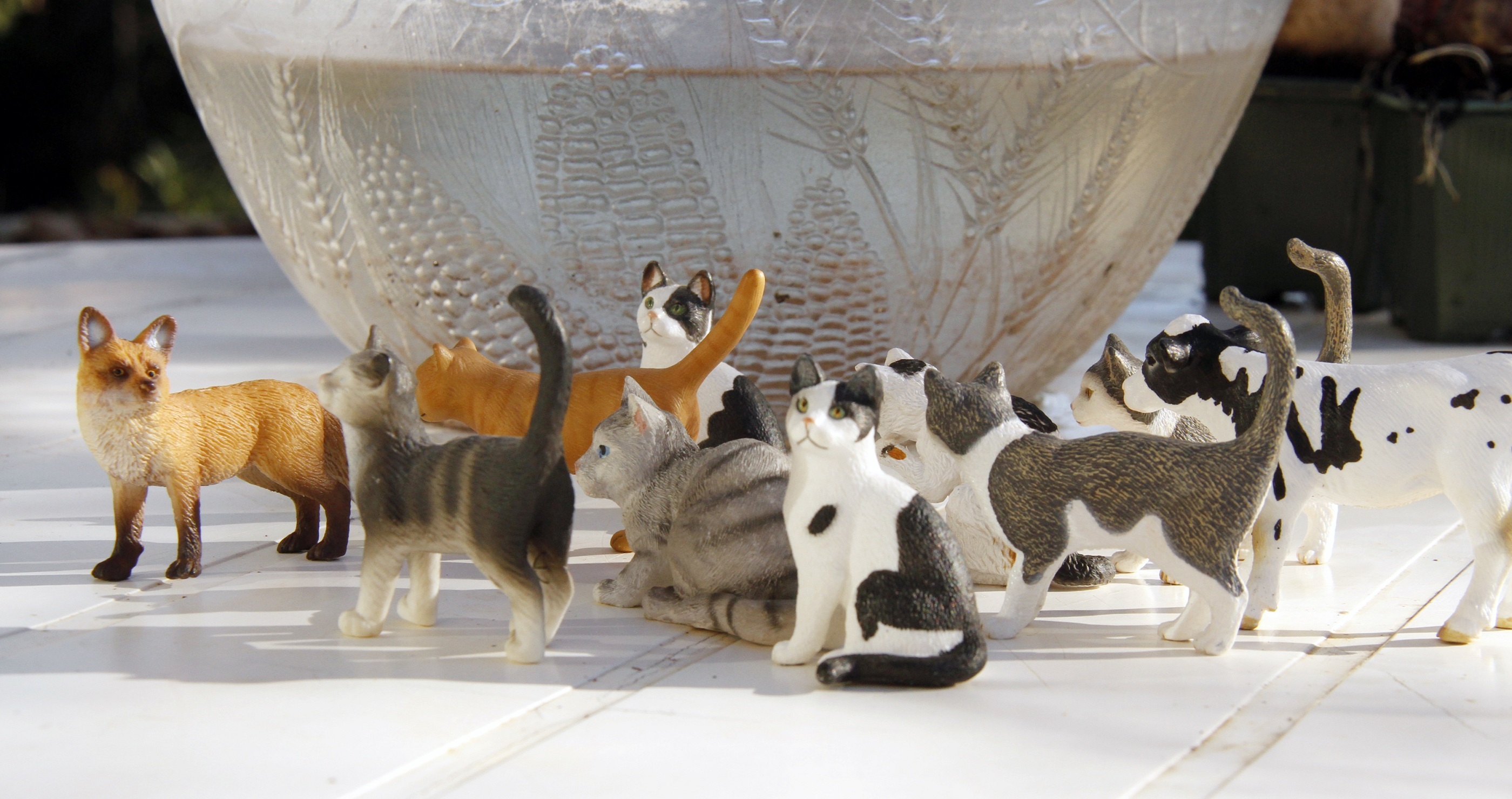 Cat sculptures photo