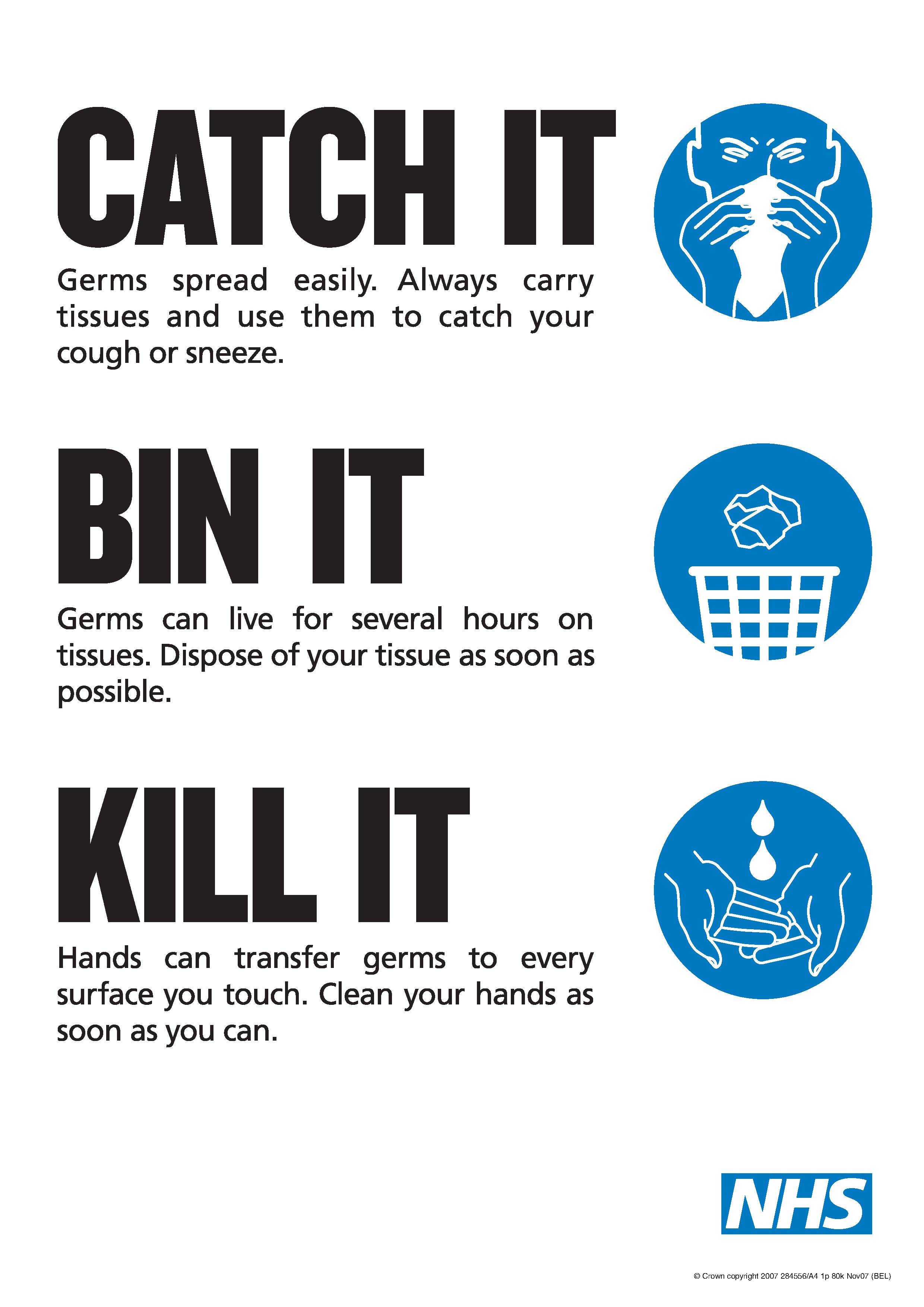 Catch it, bin it, kill it poster (2009) | British Society for Immunology
