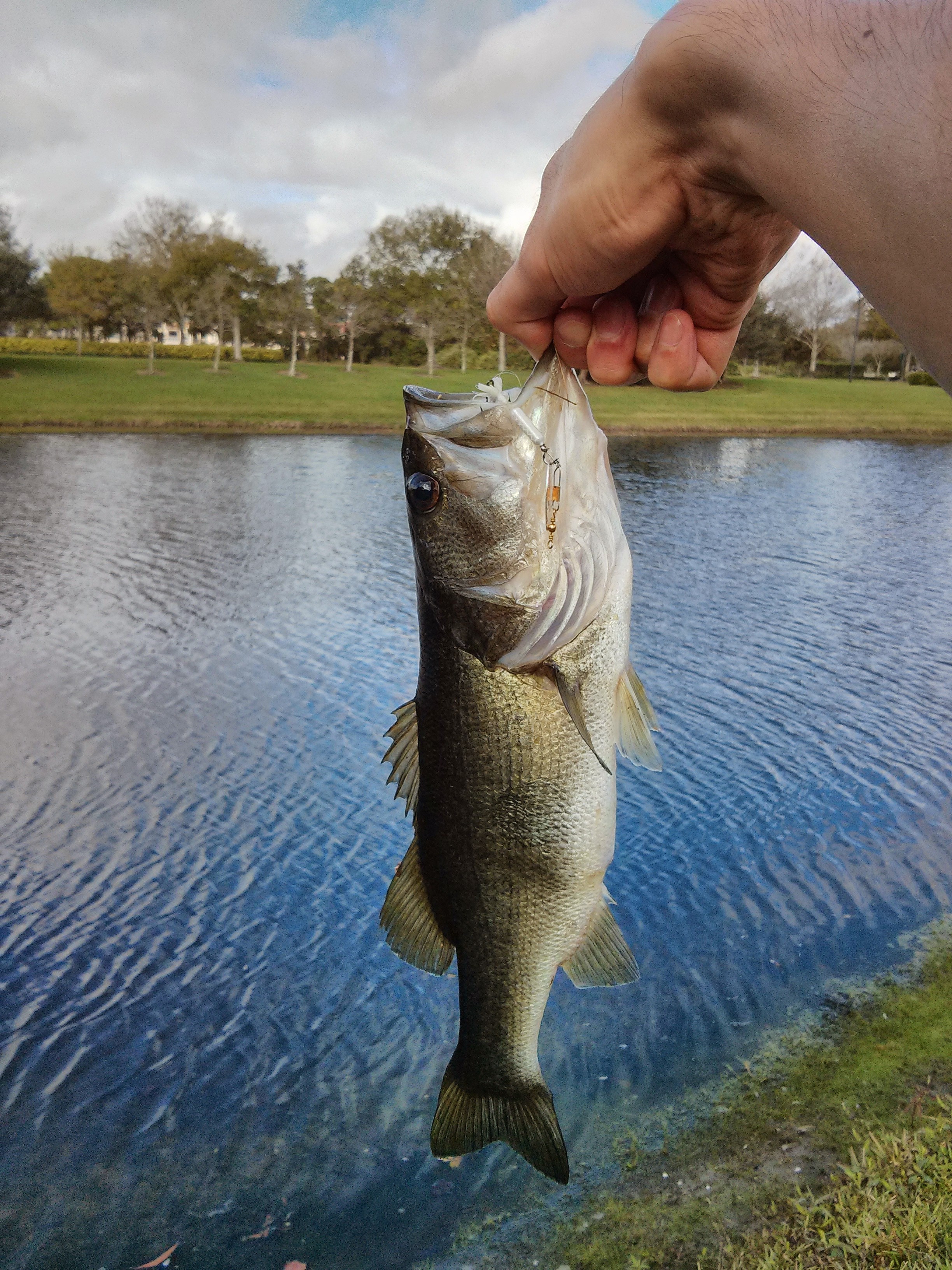 Catching a fish photo