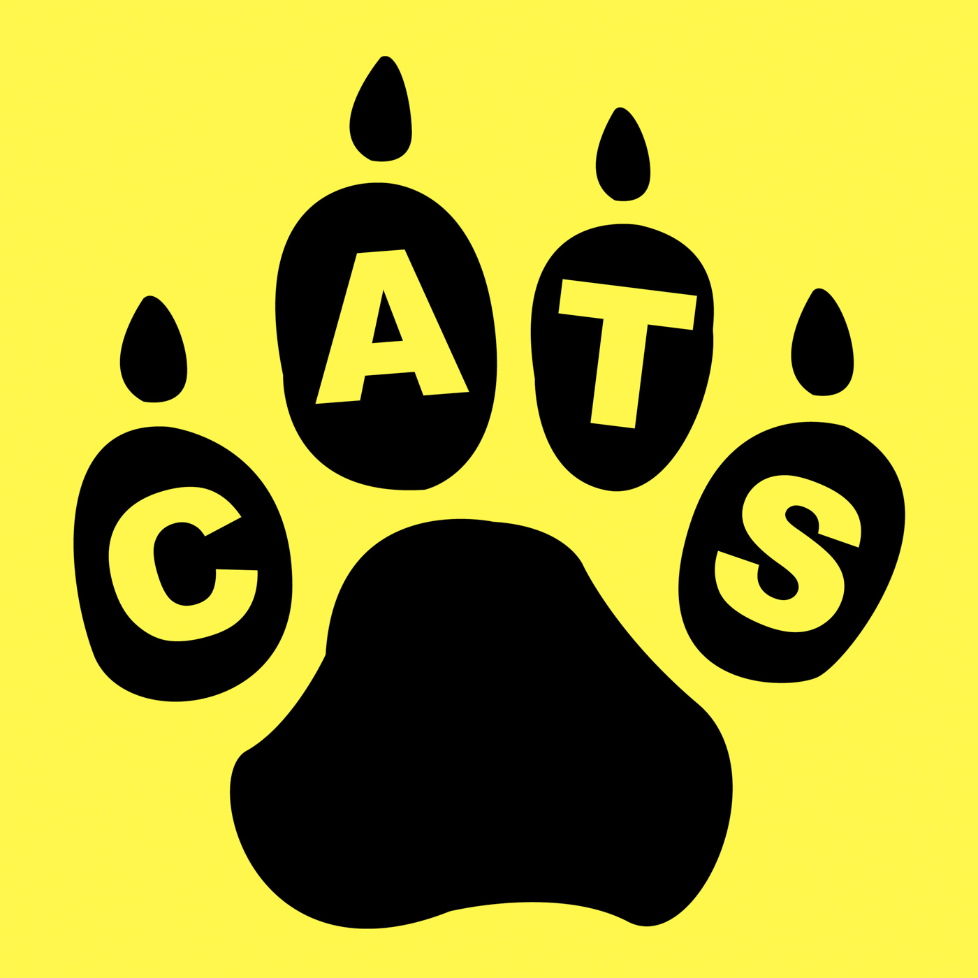 Cats paw represents pet care and feline photo