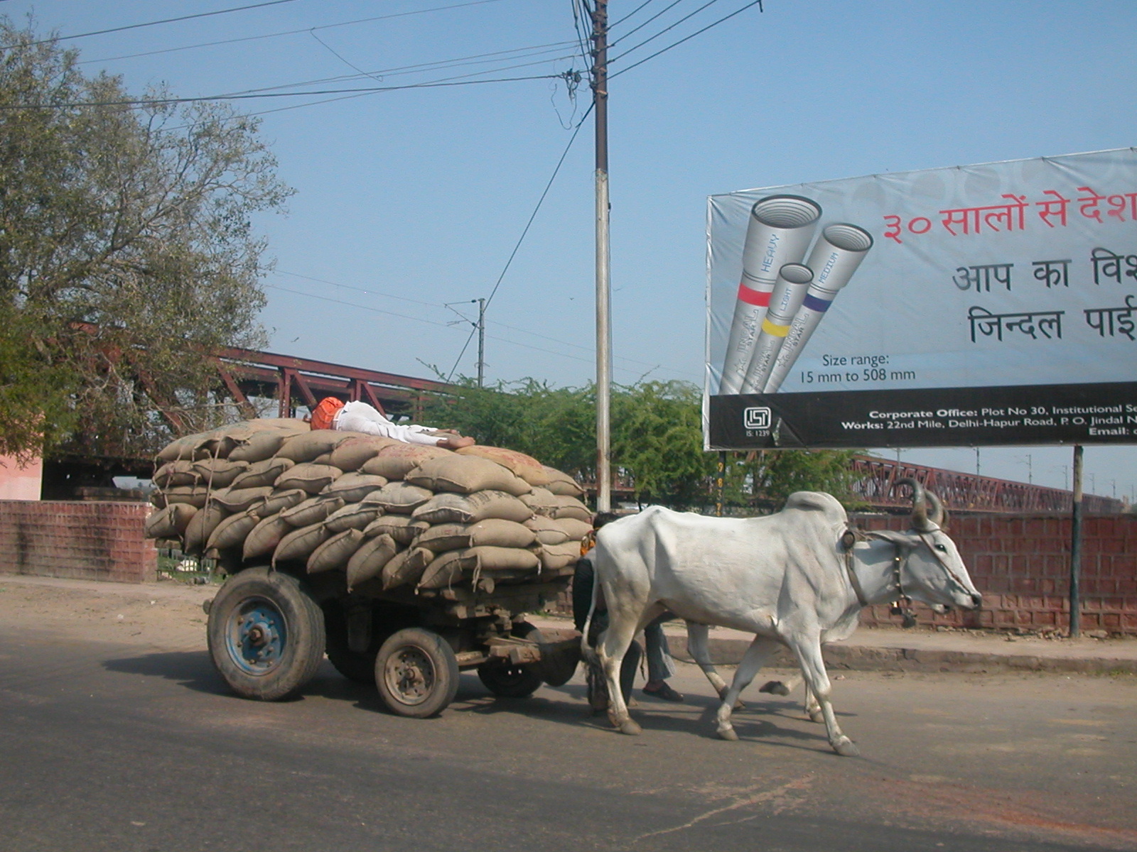 File:Cow cart in India.jpg - Wikimedia Commons