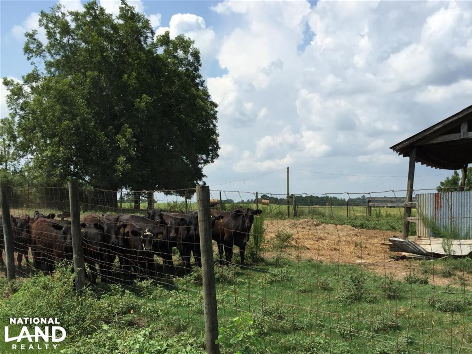 Rolling Hills Cattle Farm : Ranch for Sale : Carson : Jefferson ...