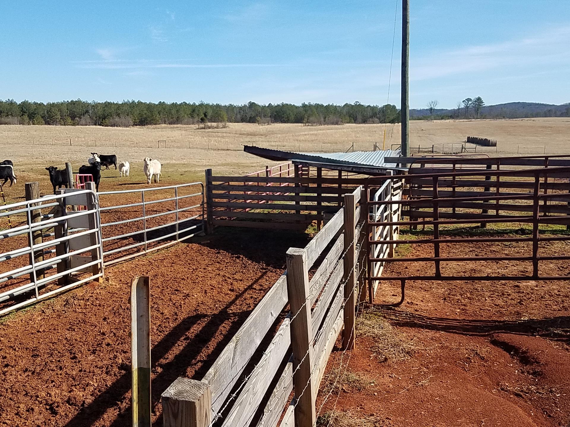 Harris Farm-Cattle Farm For Sale : Ranch for Sale : Lincoln ...