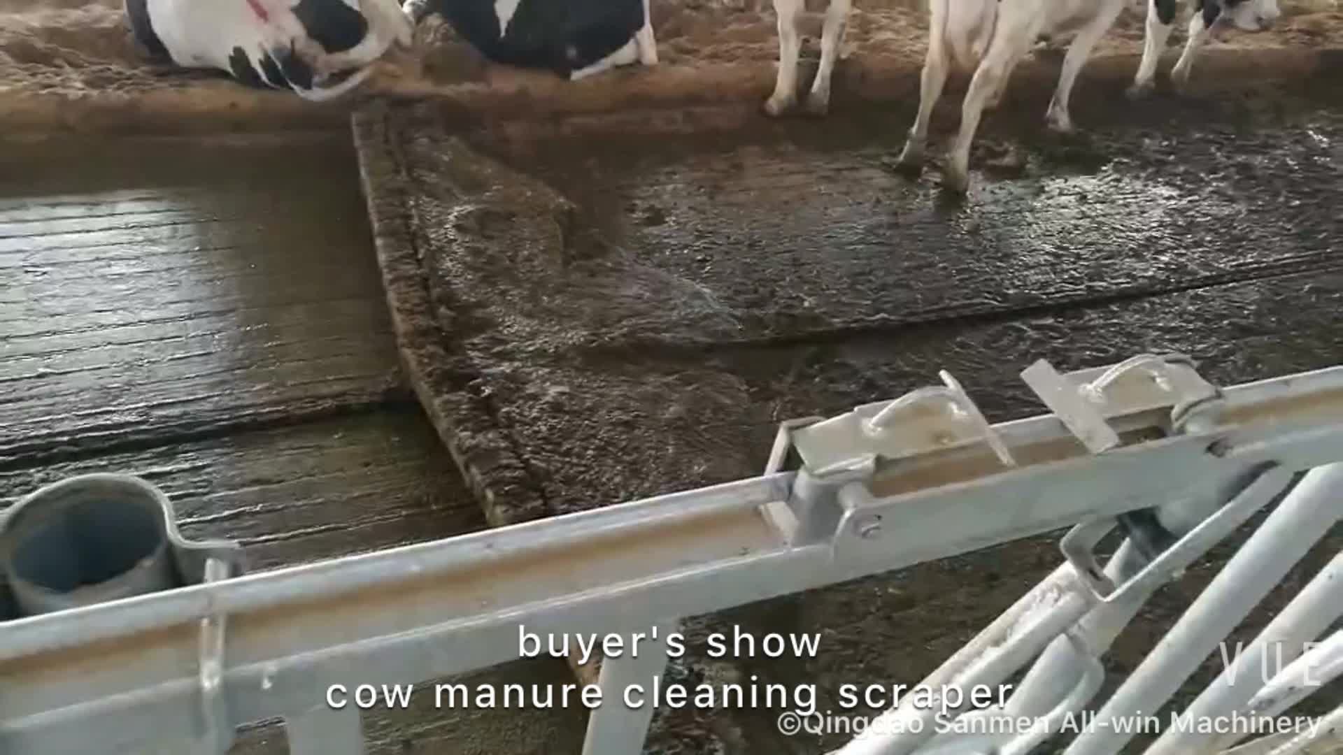 Cattle Farm Cow Manure Scraper Machine - Buy Manure Scraper,Cow ...