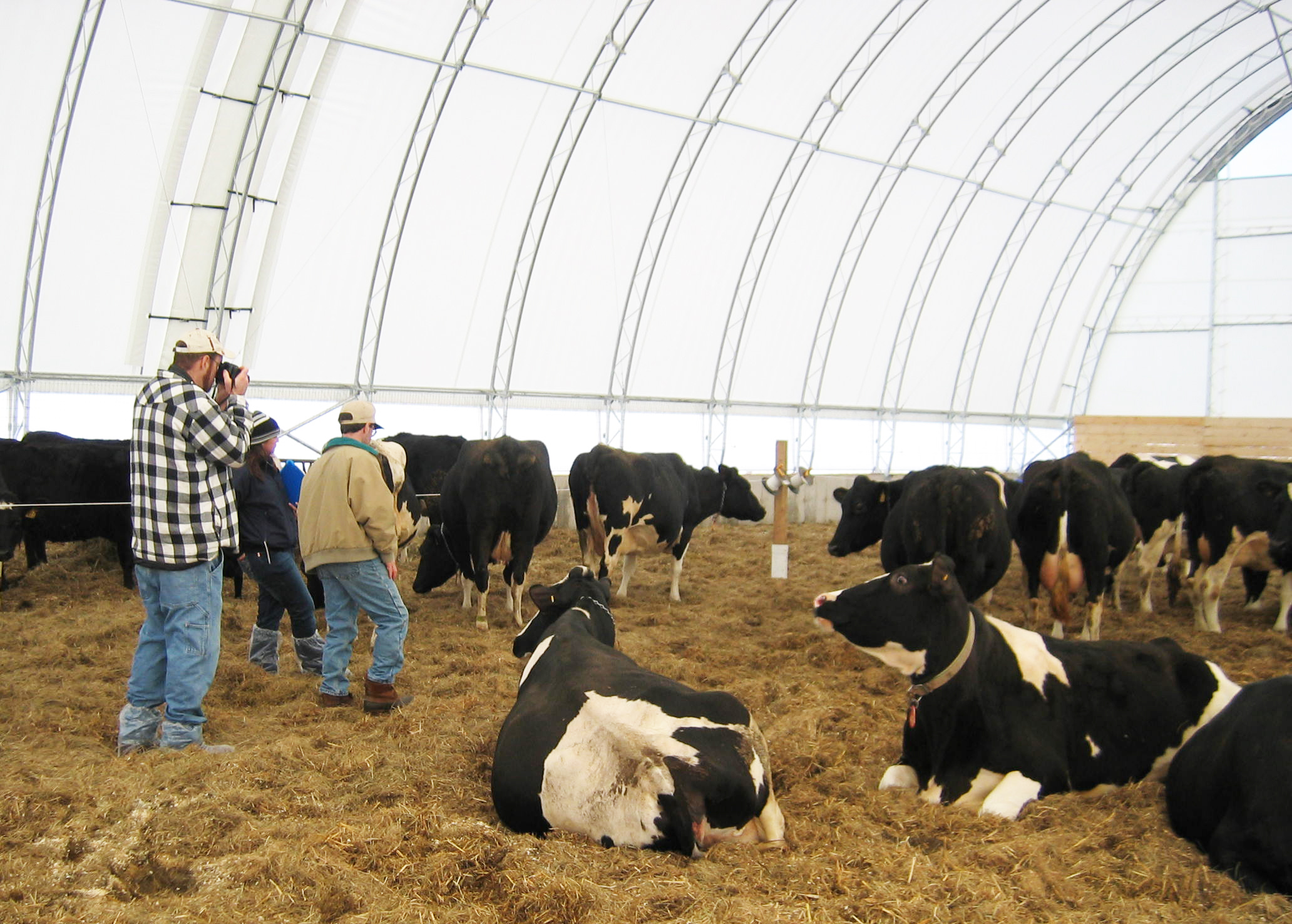 Consider Deep Pack Barns for Cow Comfort and Manure Management ...