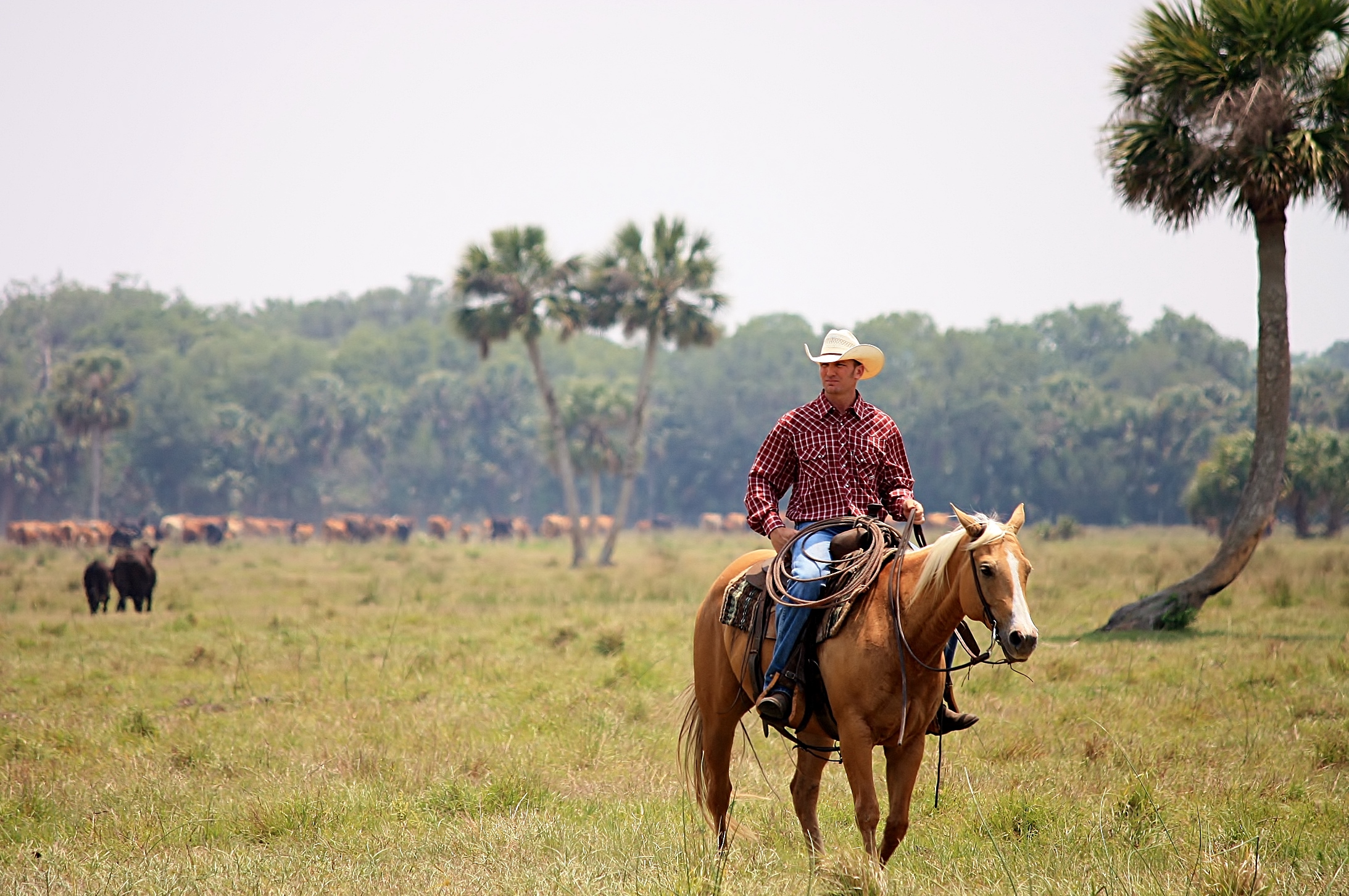 Deseret Ranches Of Florida | Home