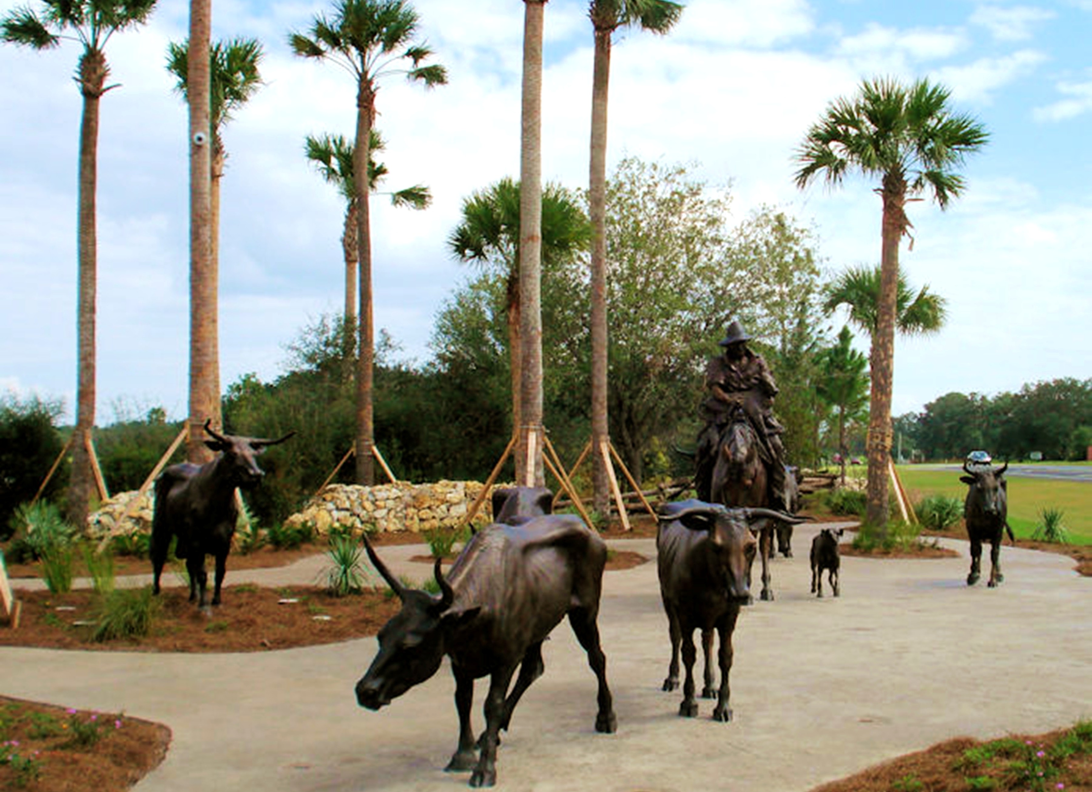 More bronze cattle statues with cowboy on horseback | The Villages ...
