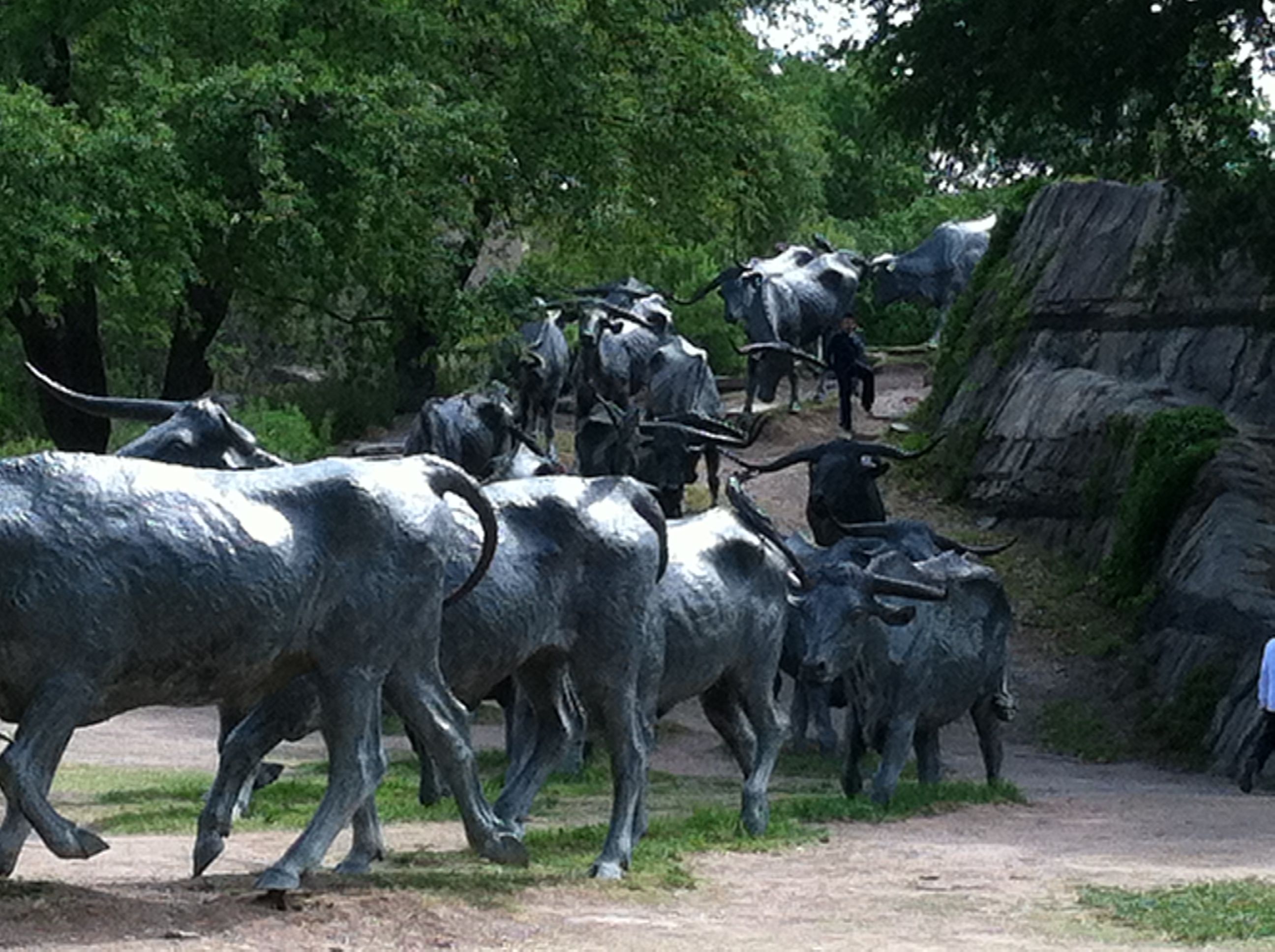 Statues of cattle drive at Pioneer Plaza in Dallas. There are 50 ...