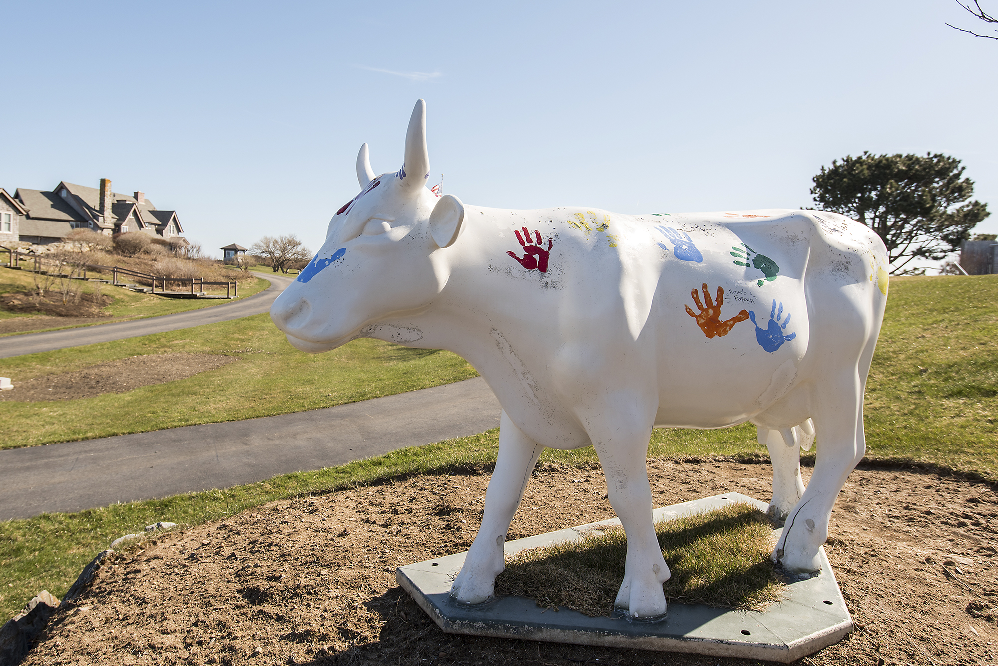 Статуя коровы Холланд