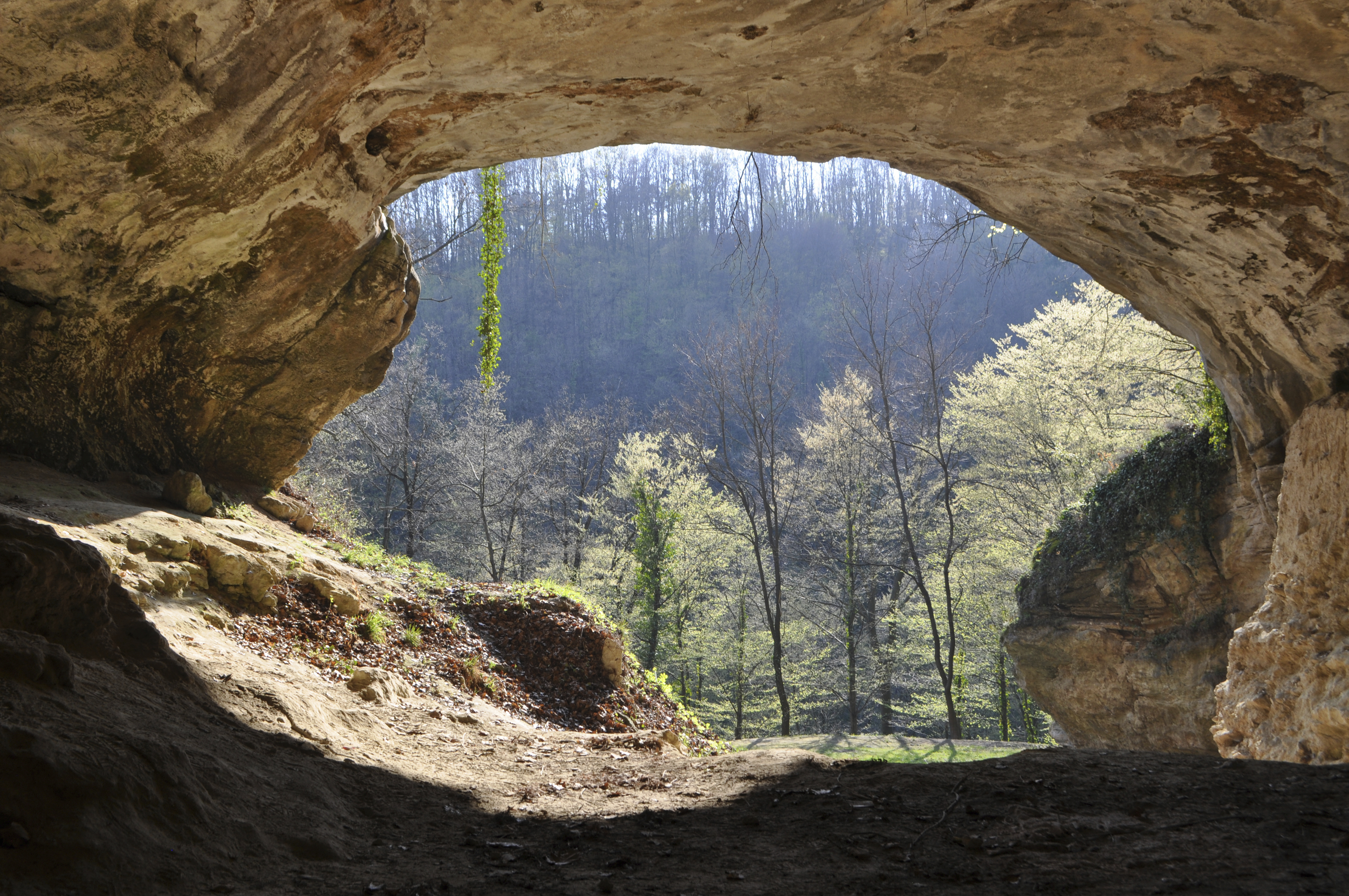 Extinct Human DNA Discovered in Cave Dirt, Scientists Say | Time