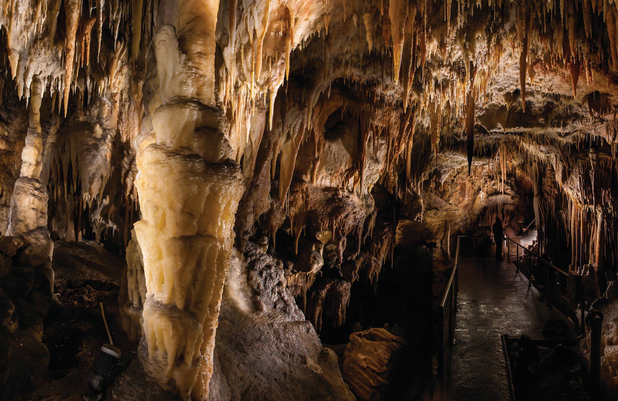 Jillabenan Cave | NSW National Parks