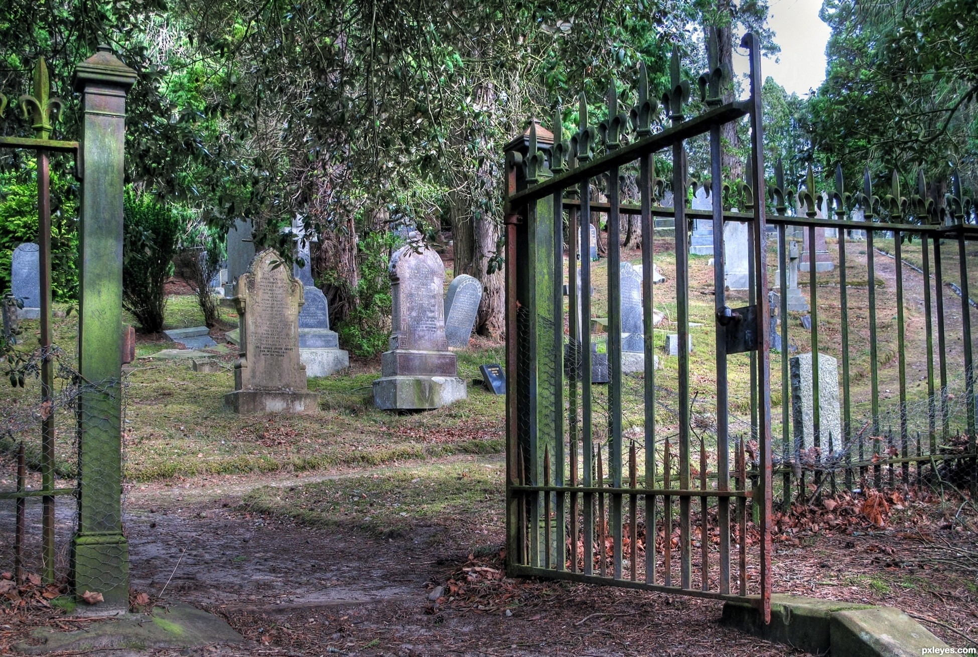 Cemetery Gate picture, by jeaniblog for: gates 2 photography contest ...