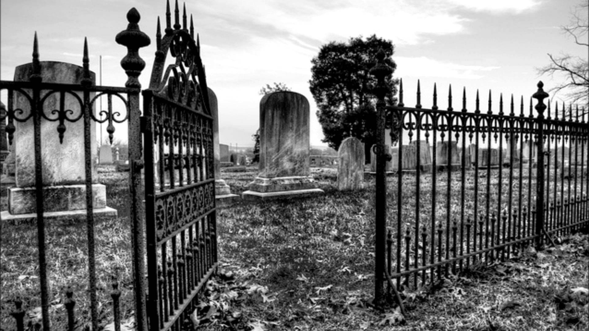 Pantera - Cemetery Gates LIVE 1990 (ORIGINAL pitch and tempo) - YouTube
