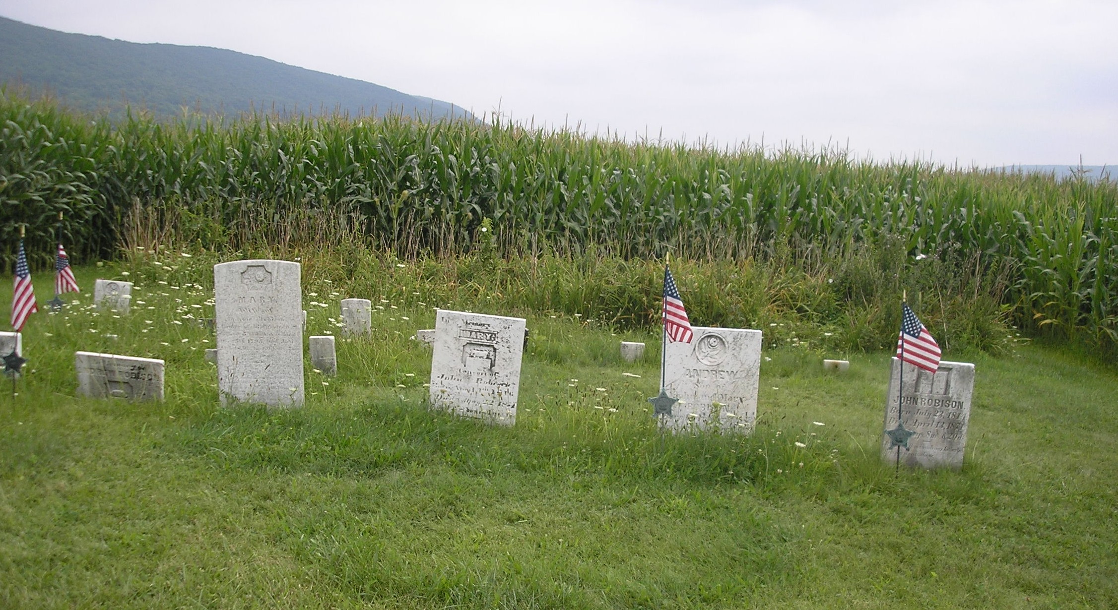 Civil War Blog » Boyer Cemetery in Washington Township