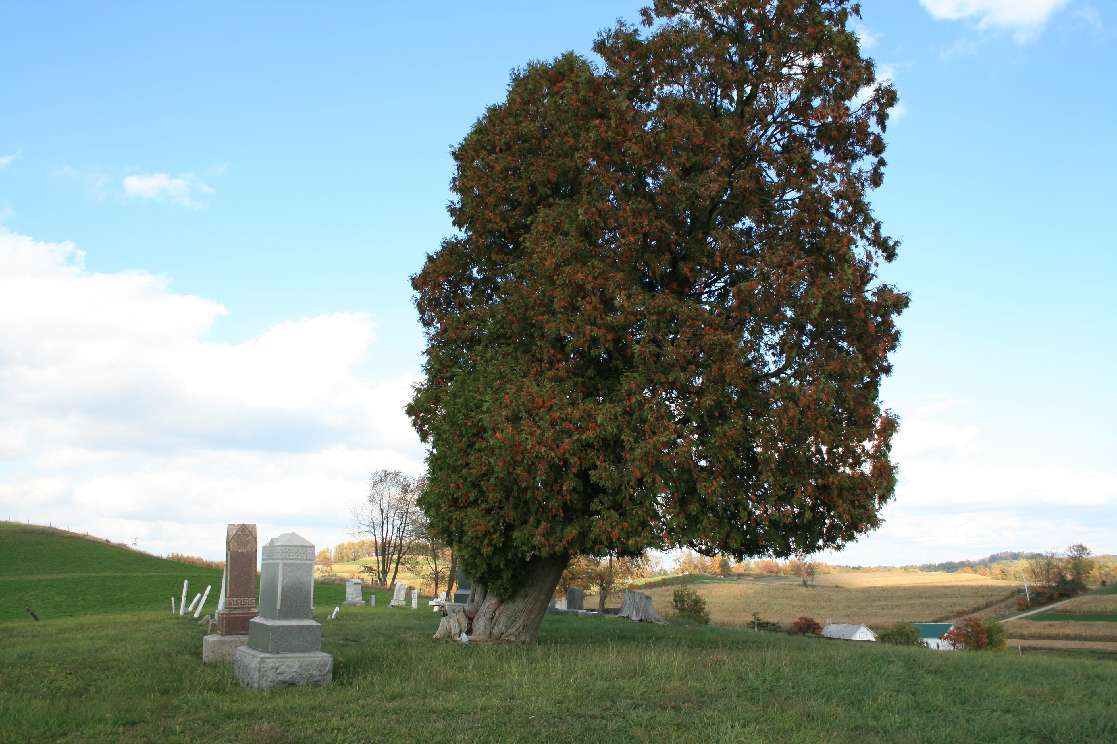 Halifax United Brethren Cemetery in Coshocton, Ohio - Find A Grave ...
