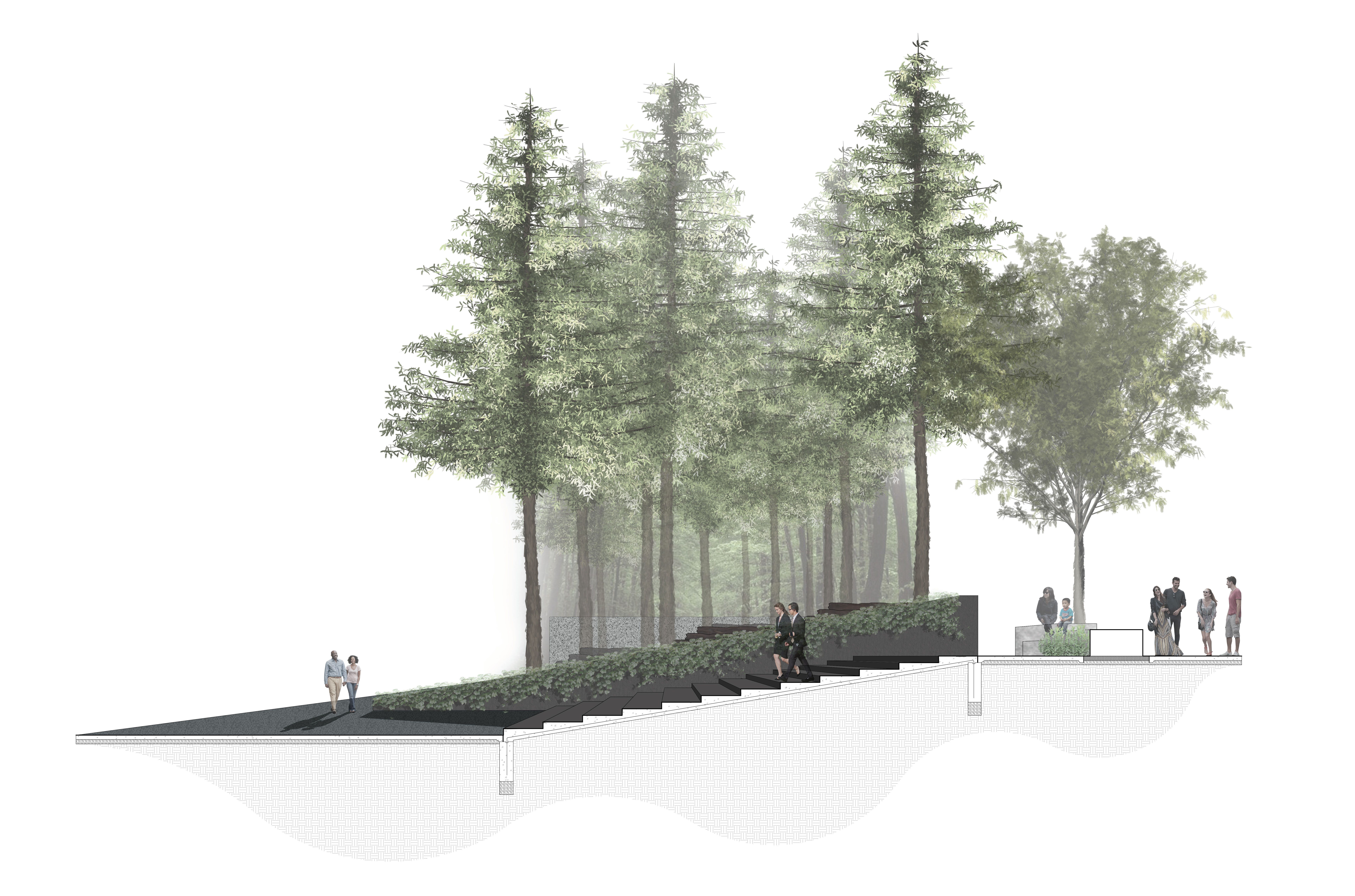 Landscape architecture, Cemetery design, Section Perspective | cams ...