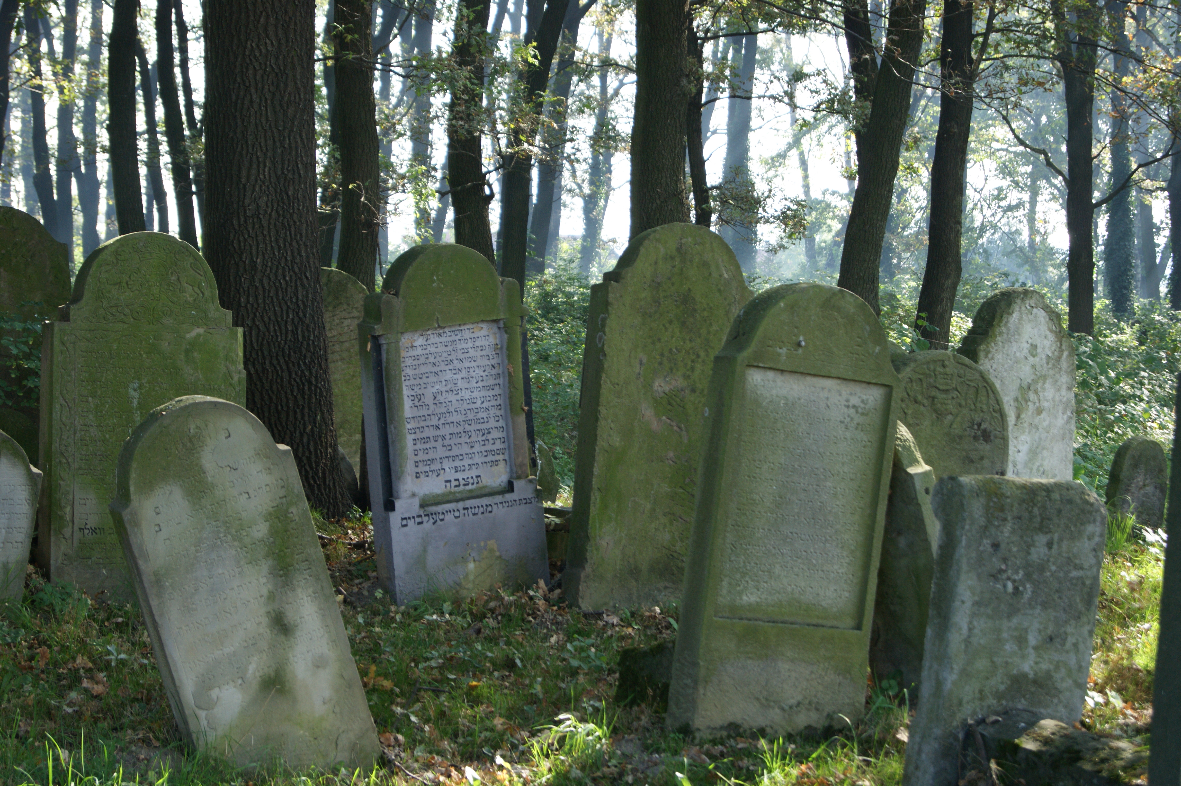 File:New Jewish cemetery-tombstones, Czarnowiejska street, Brzesko ...