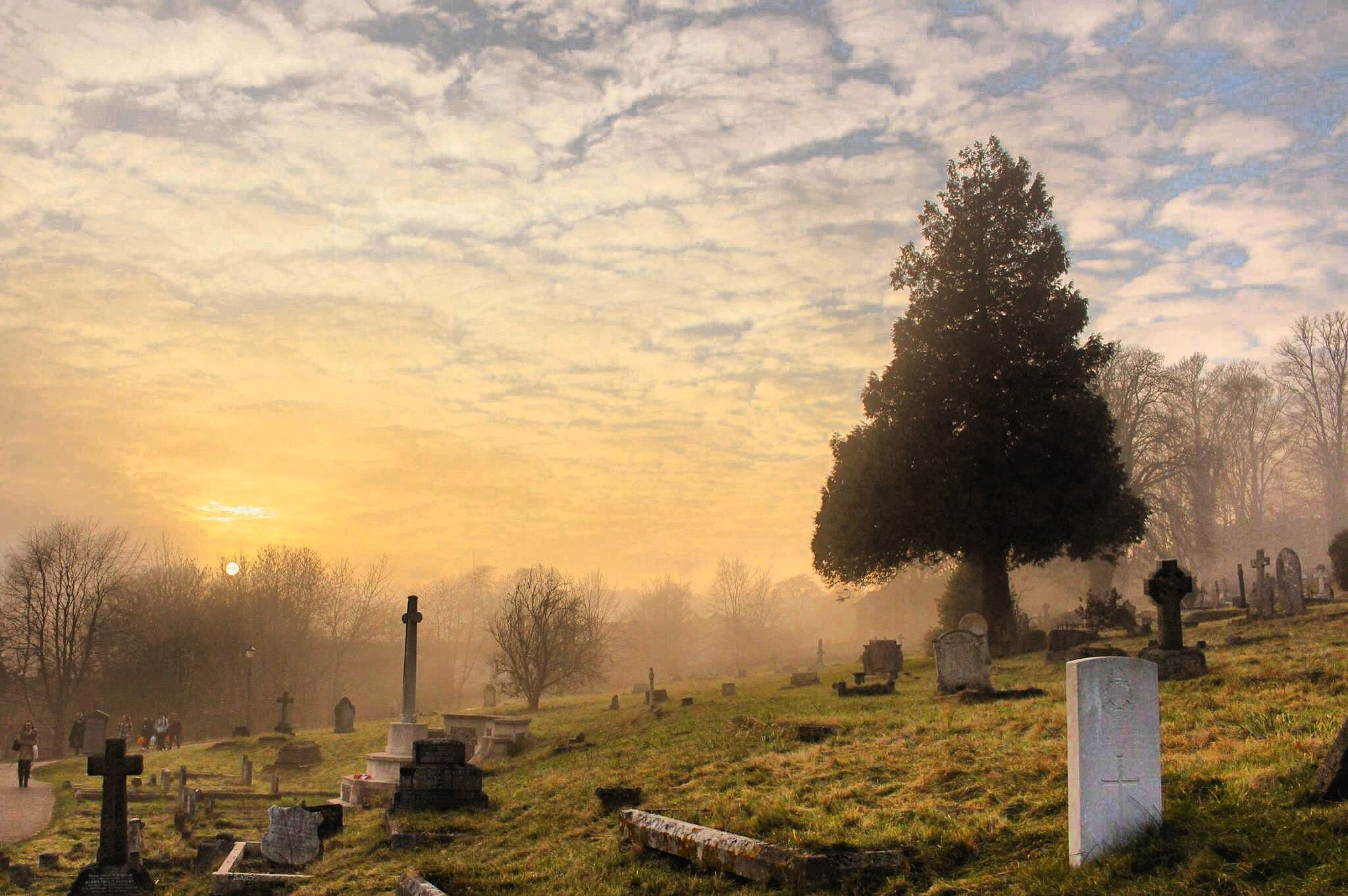 Cemetery Under the Cloudy Sky, Cemetery, Landscape, Trees, Sunset, HQ Photo