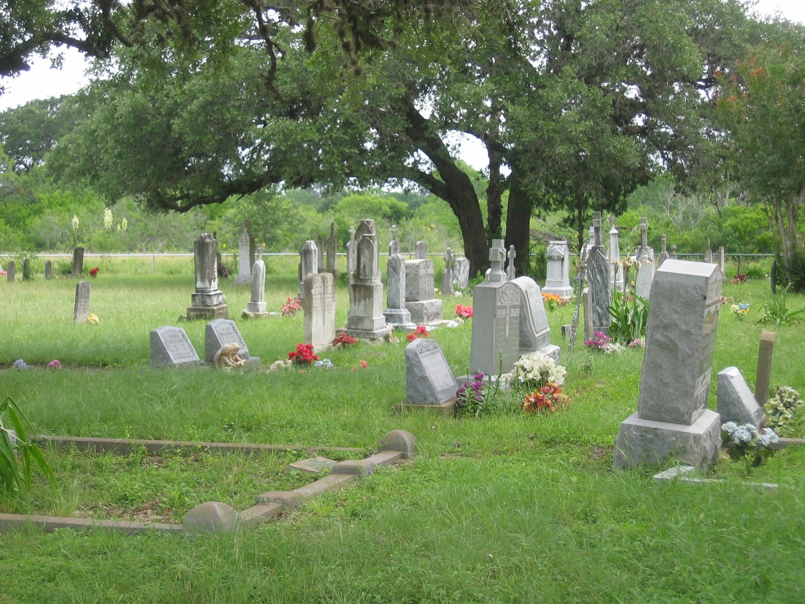 Olive Tree Genealogy Blog: Join Me on a Cemetery Walk Through Panna ...