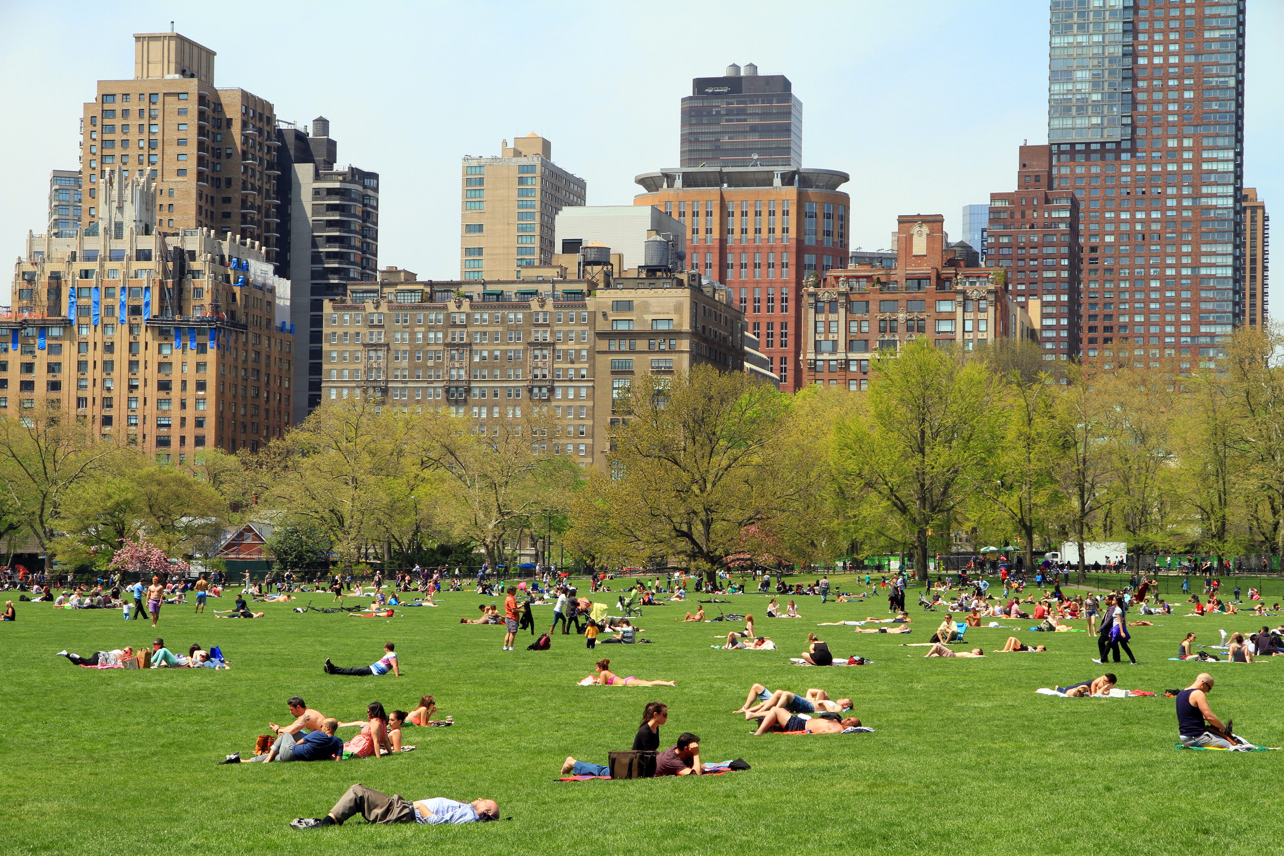 Explore The Central Park of New York - Traveler Corner