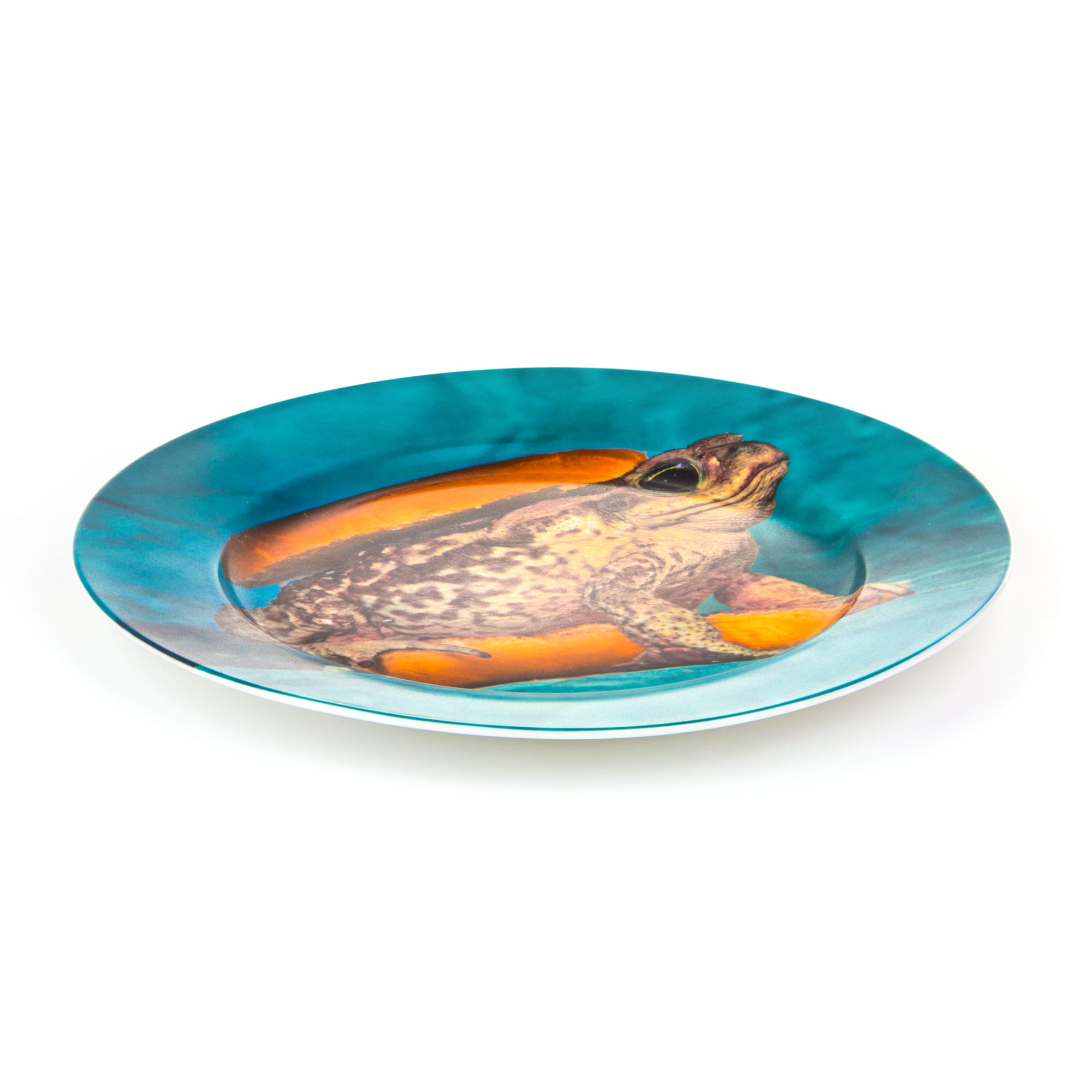 Porcelain Plate Toad – Seletti