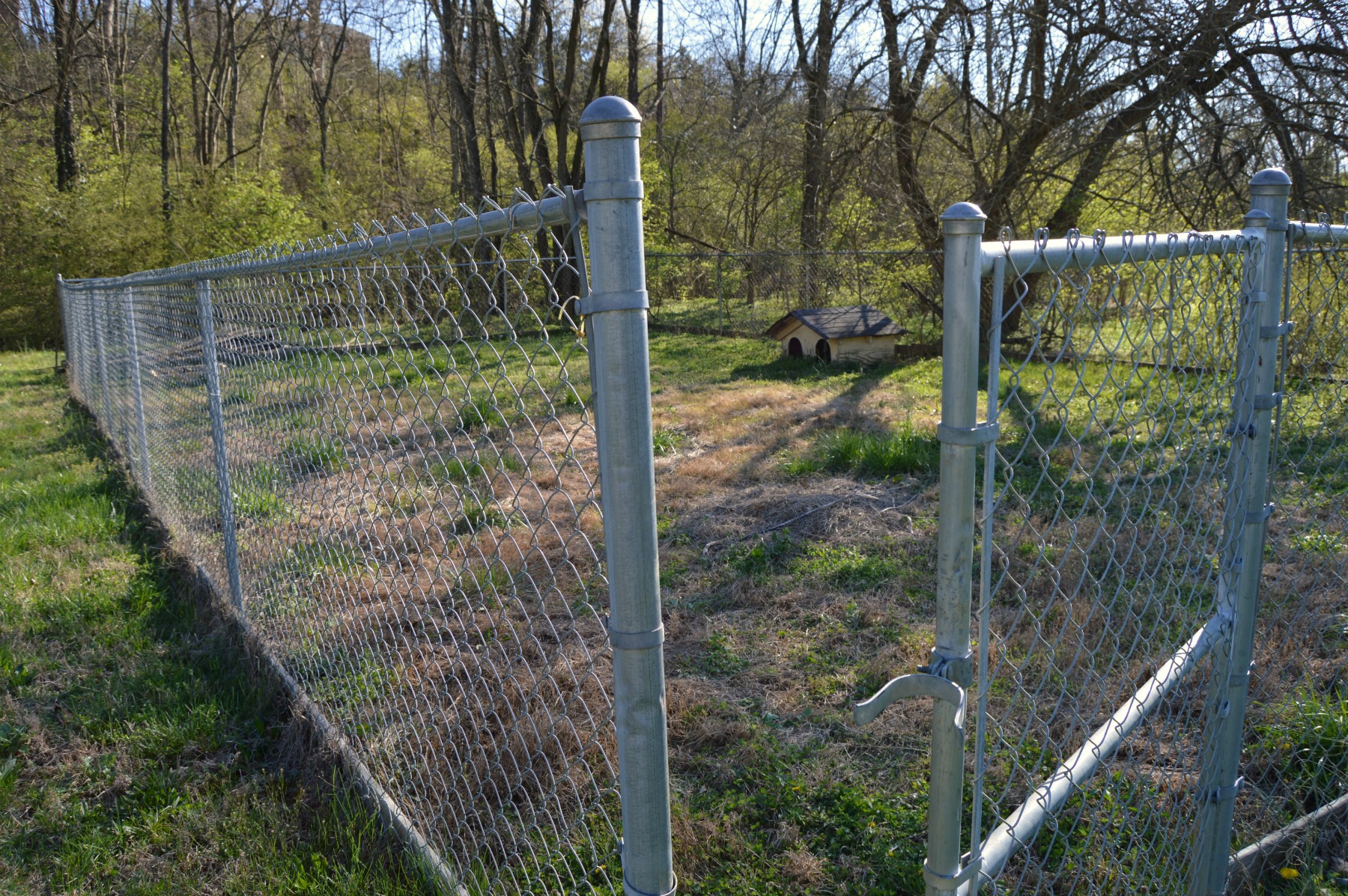 Affordable & Easy Chain Link Fence Makeover Option - Mom in Music City
