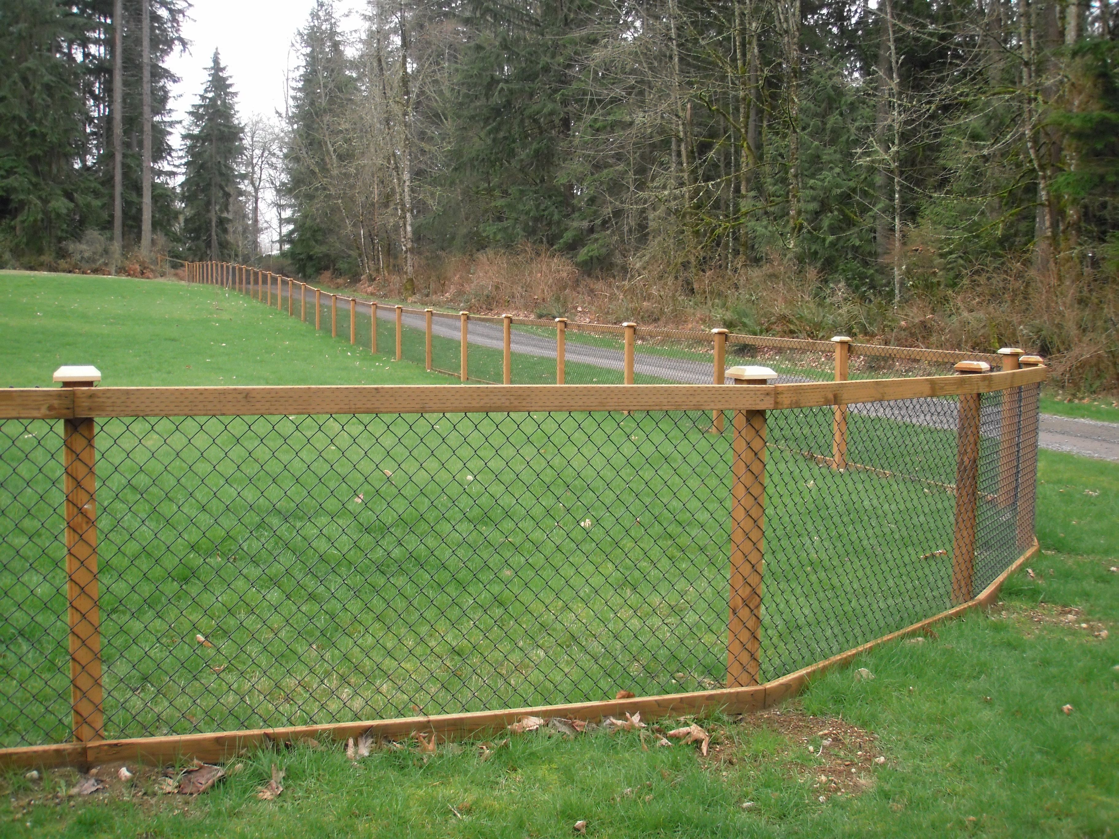 Chain Link Fence with Cedar Wood Trim | Fence ideas | Pinterest ...