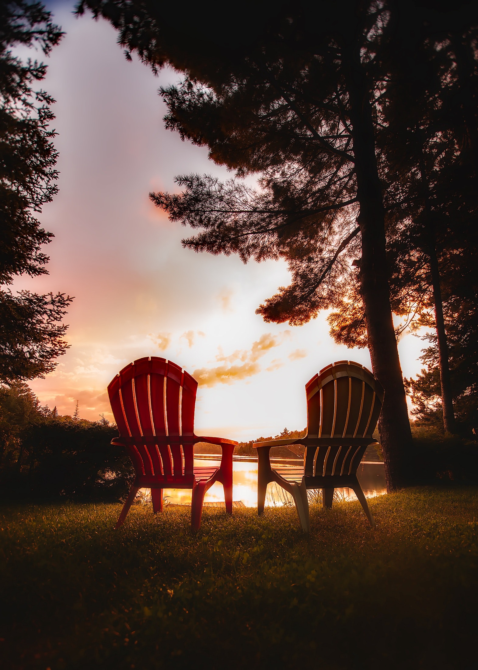 Chairs on table against trees during sunset photo
