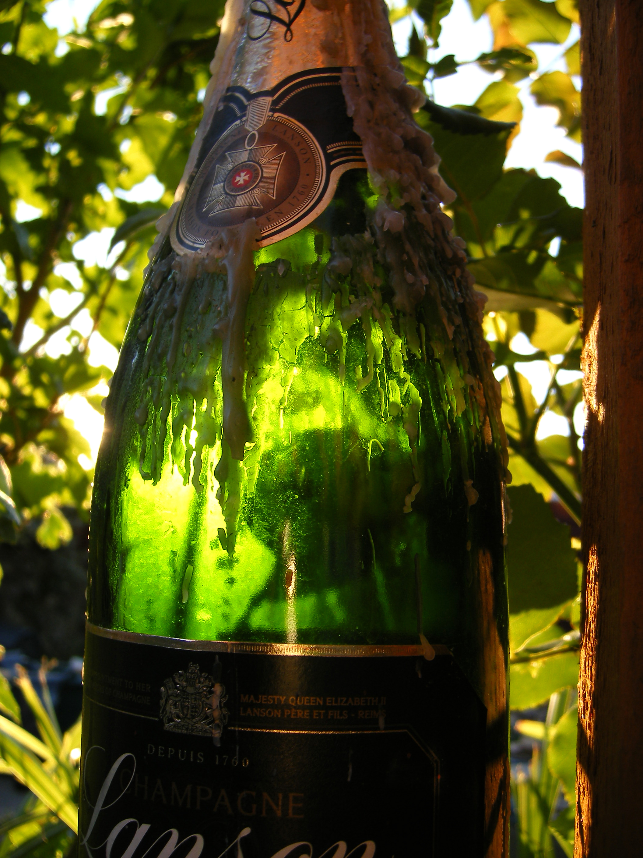 Champagne bottle photo