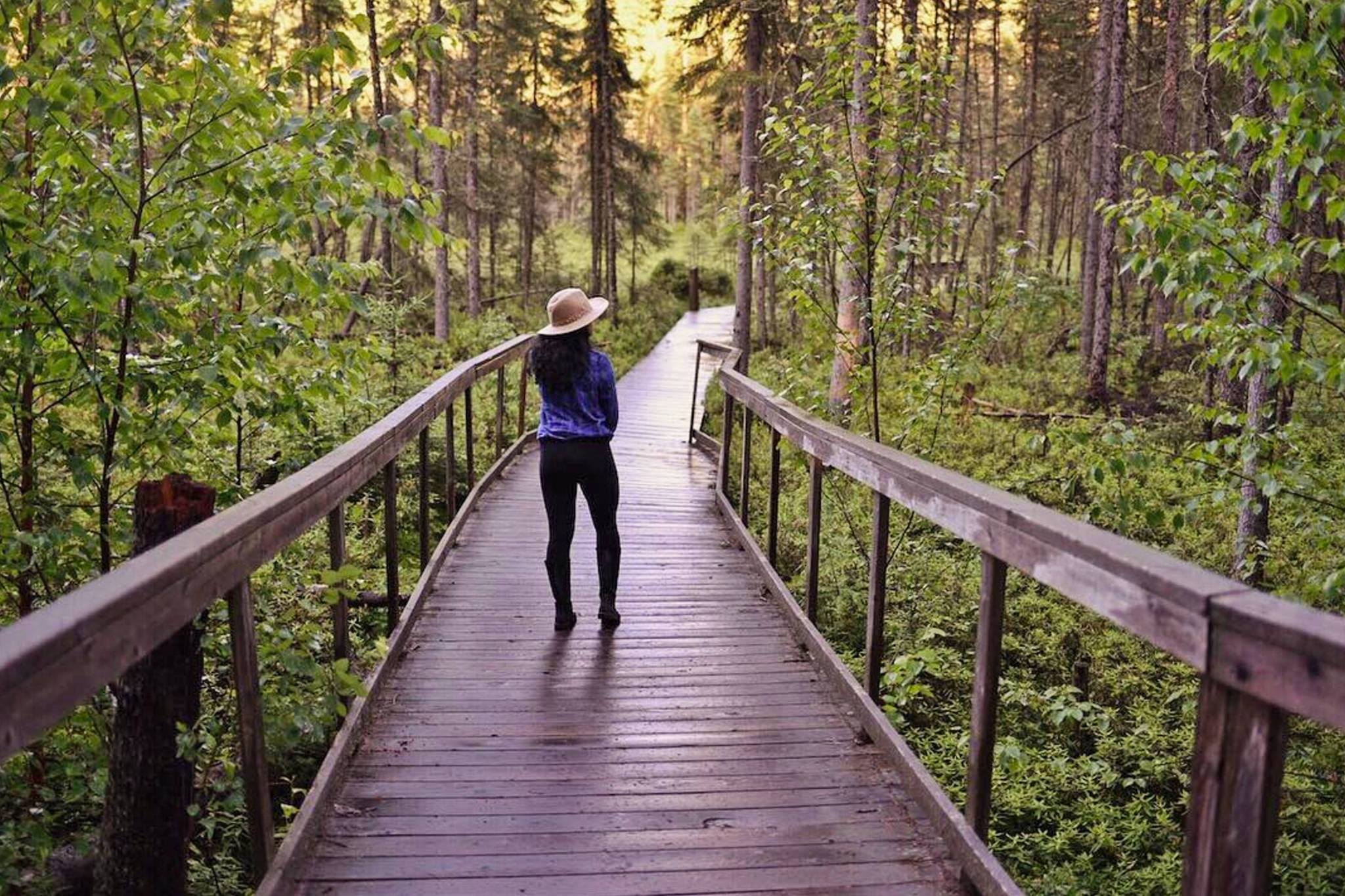 This epic boardwalk is the ultimate fall hike in Ontario