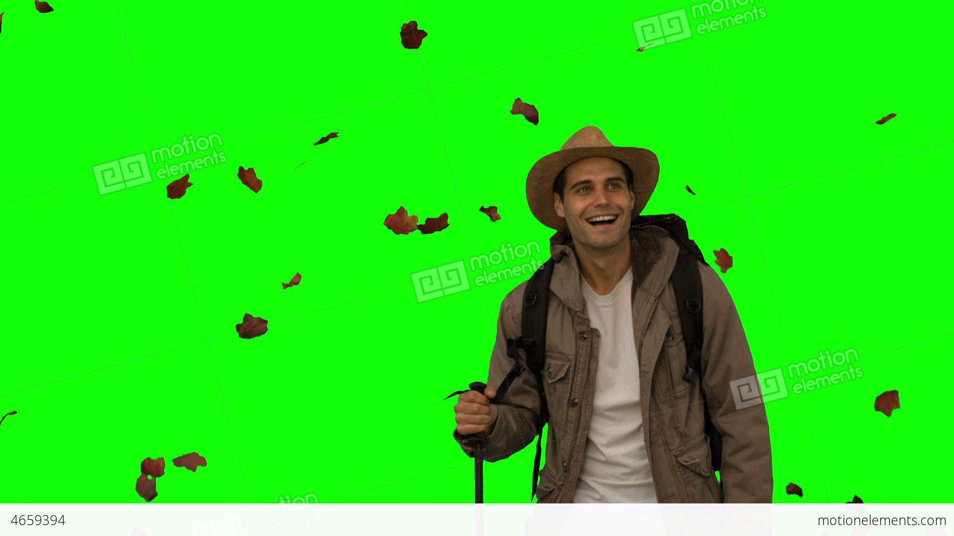 Cheerful Man Standing Under Leaves Falling On Green Screen Stock ...