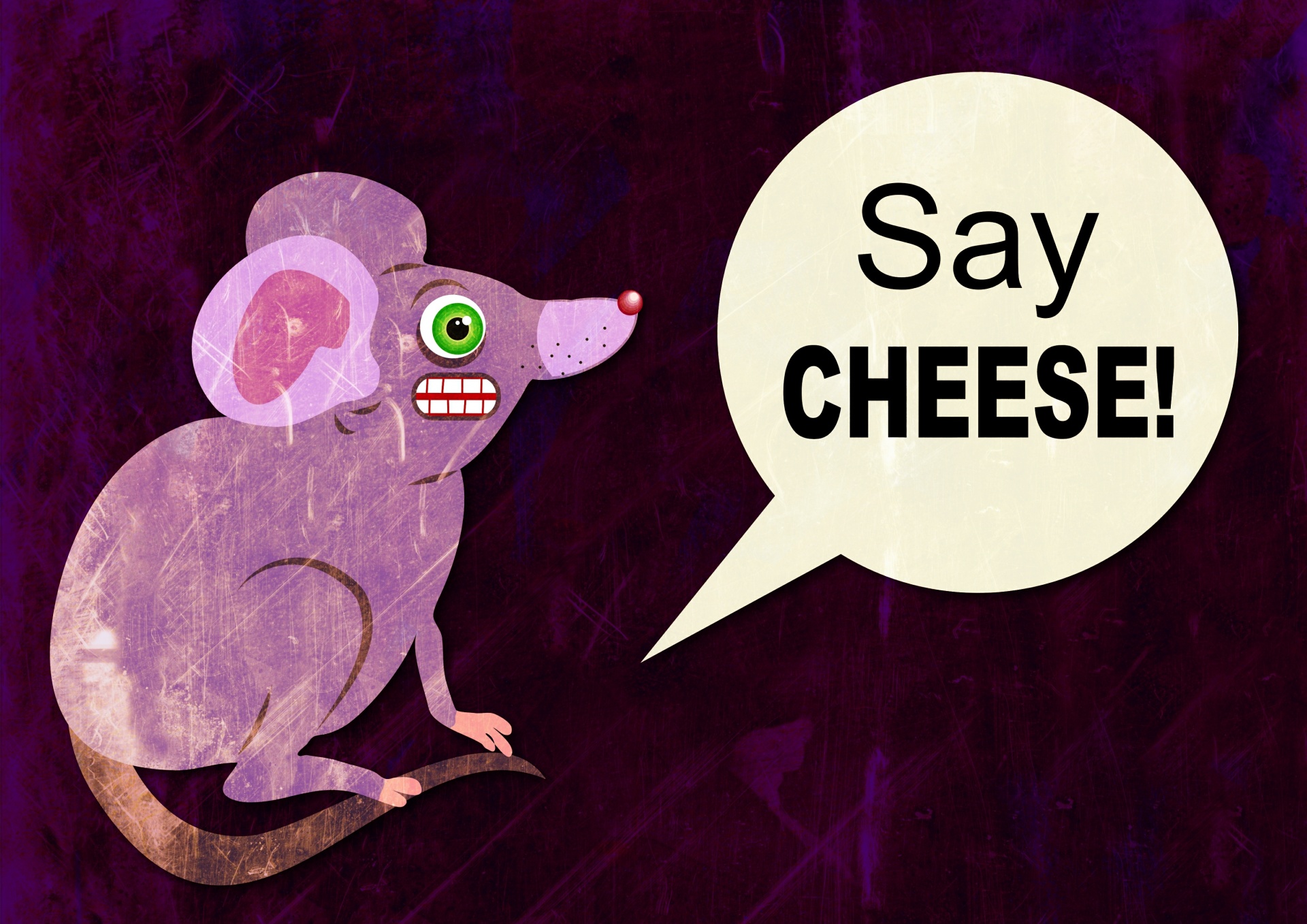 Cheesy Mouse Free Stock Photo - Public Domain Pictures
