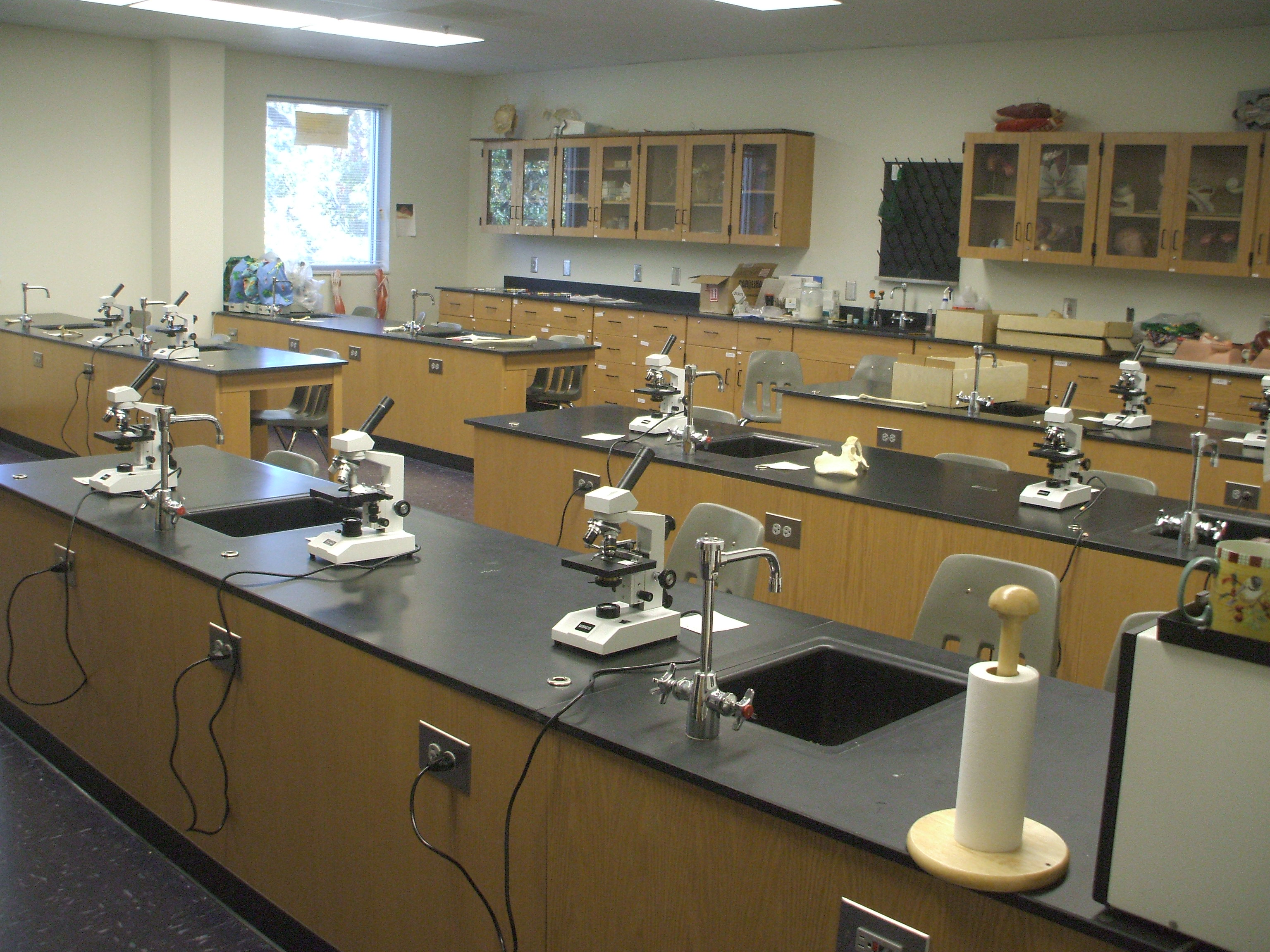 File:Chemistry-lab.JPG - Wikimedia Commons
