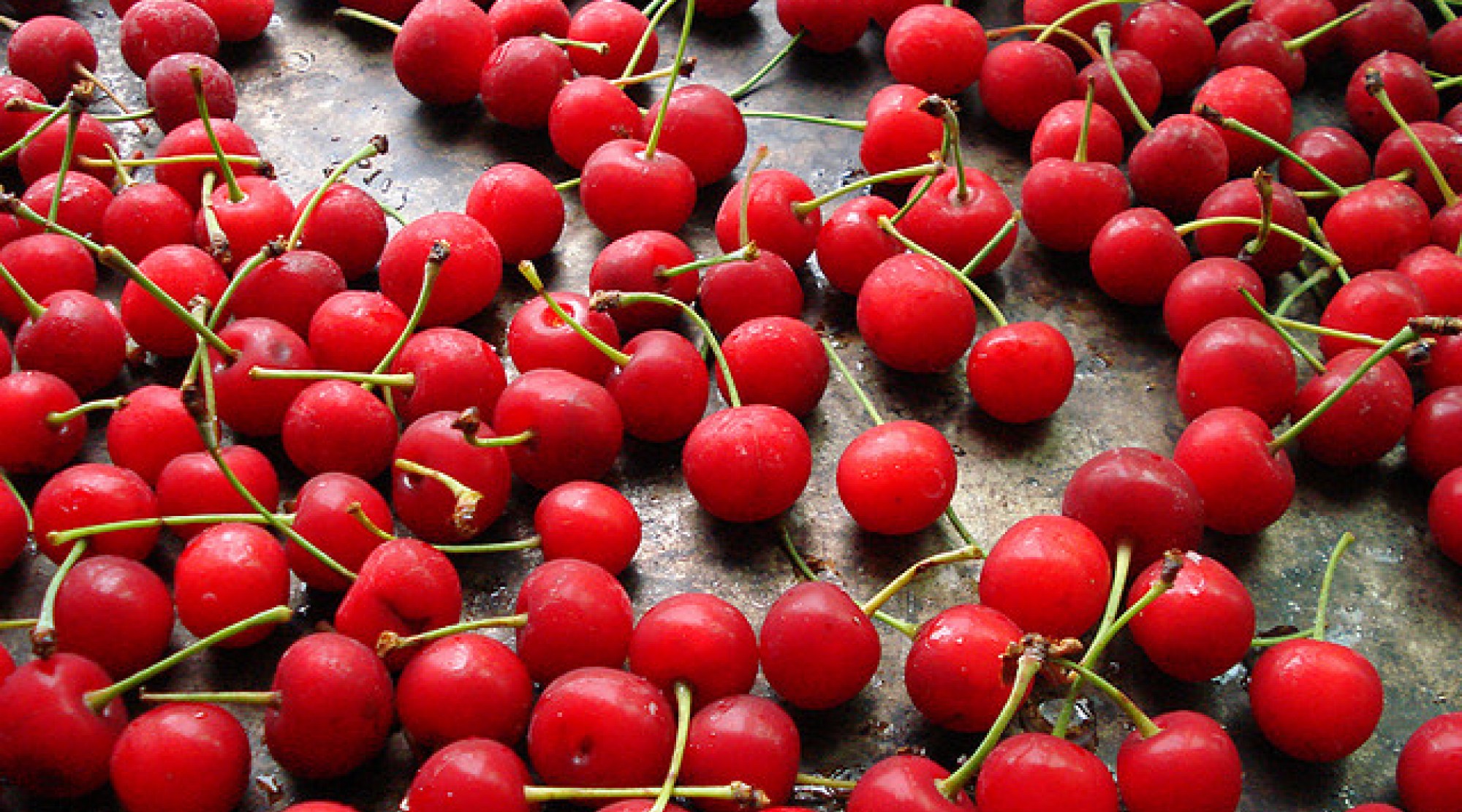 Fresh cherries photo