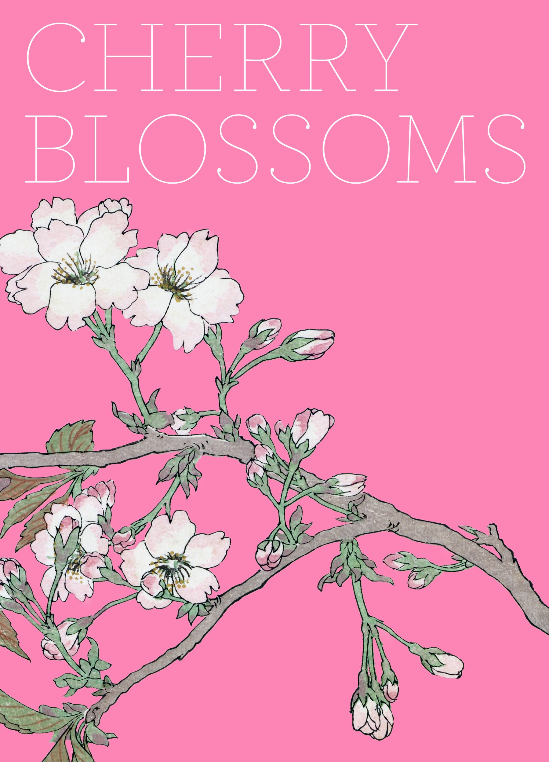 Cherry Blossoms: James T. Ulak, Howard S. Kaplan, Julian Raby ...
