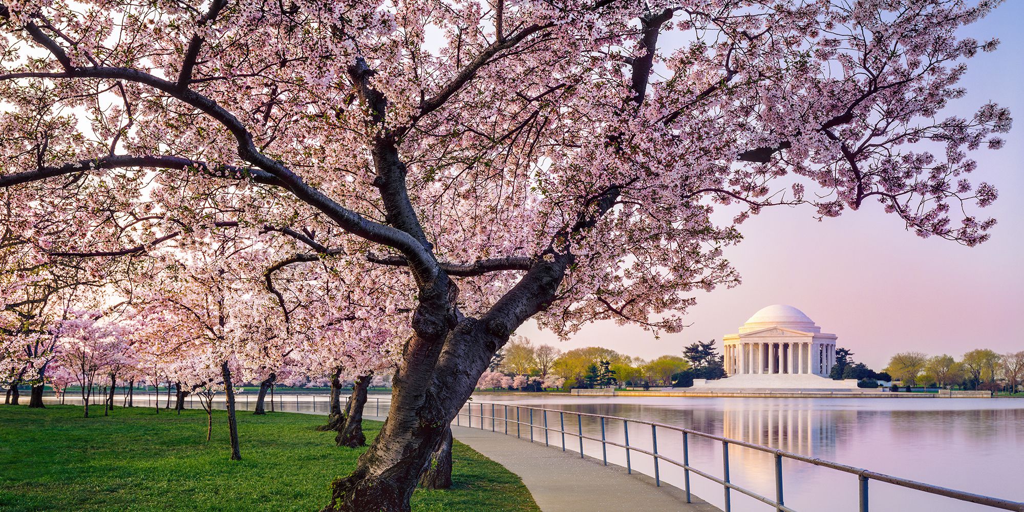 12 Best Places to See Cherry Blossoms in Spring 2018 - Where to See ...