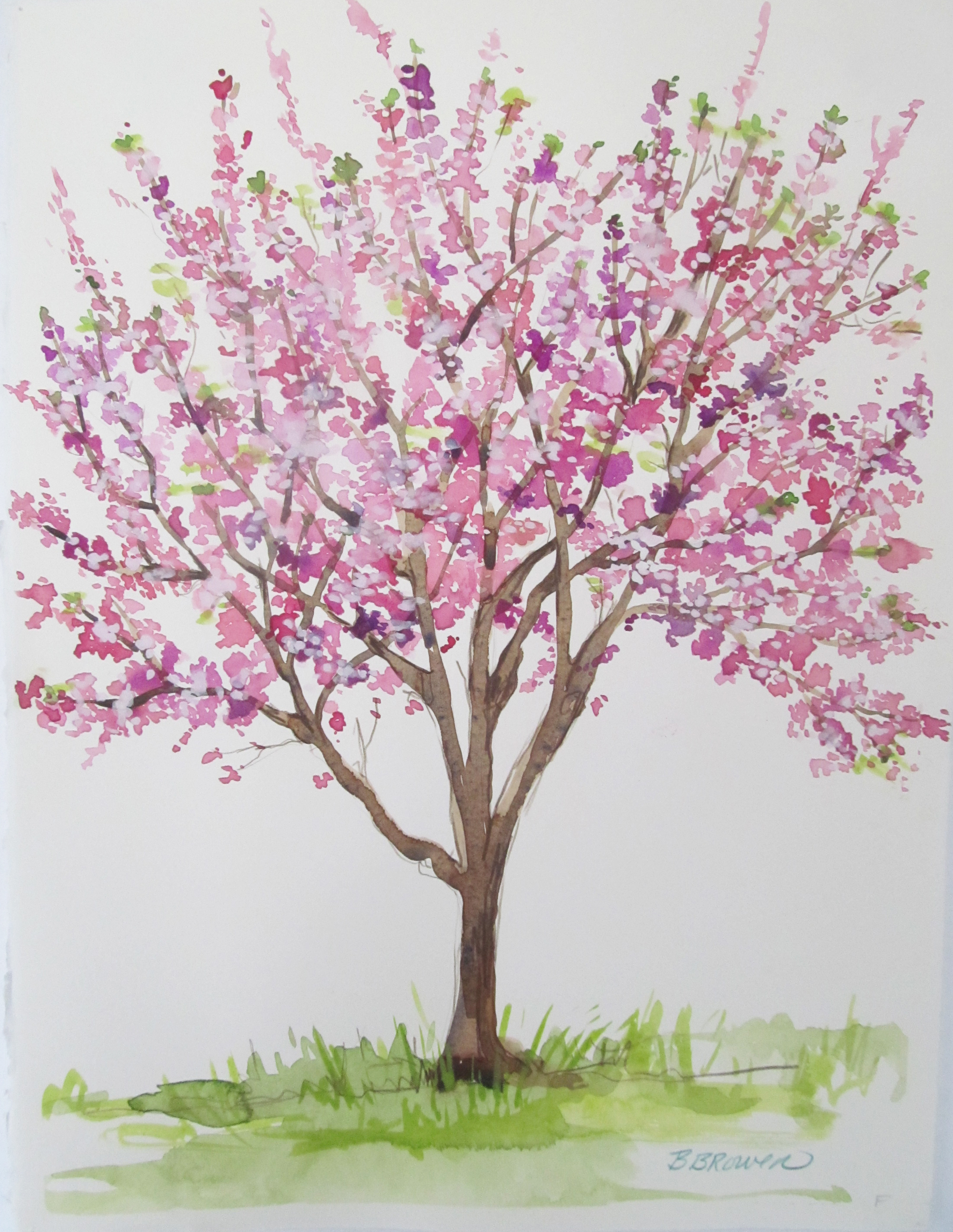 Beauty of Watercolor - Cherry Blossom Tree | VisArts