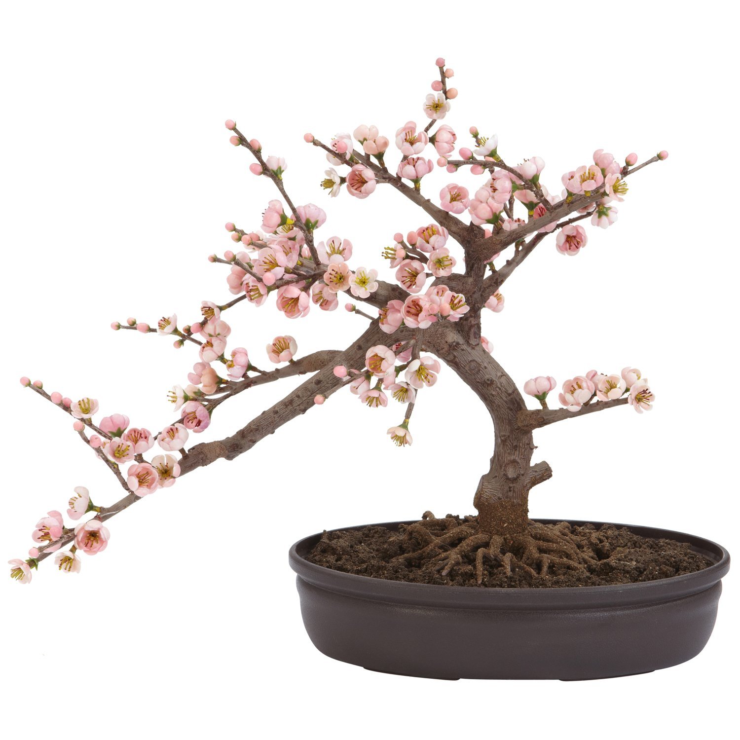 Amazon.com: Nearly Natural 4764 Cherry Blossom Bonsai Artificial ...