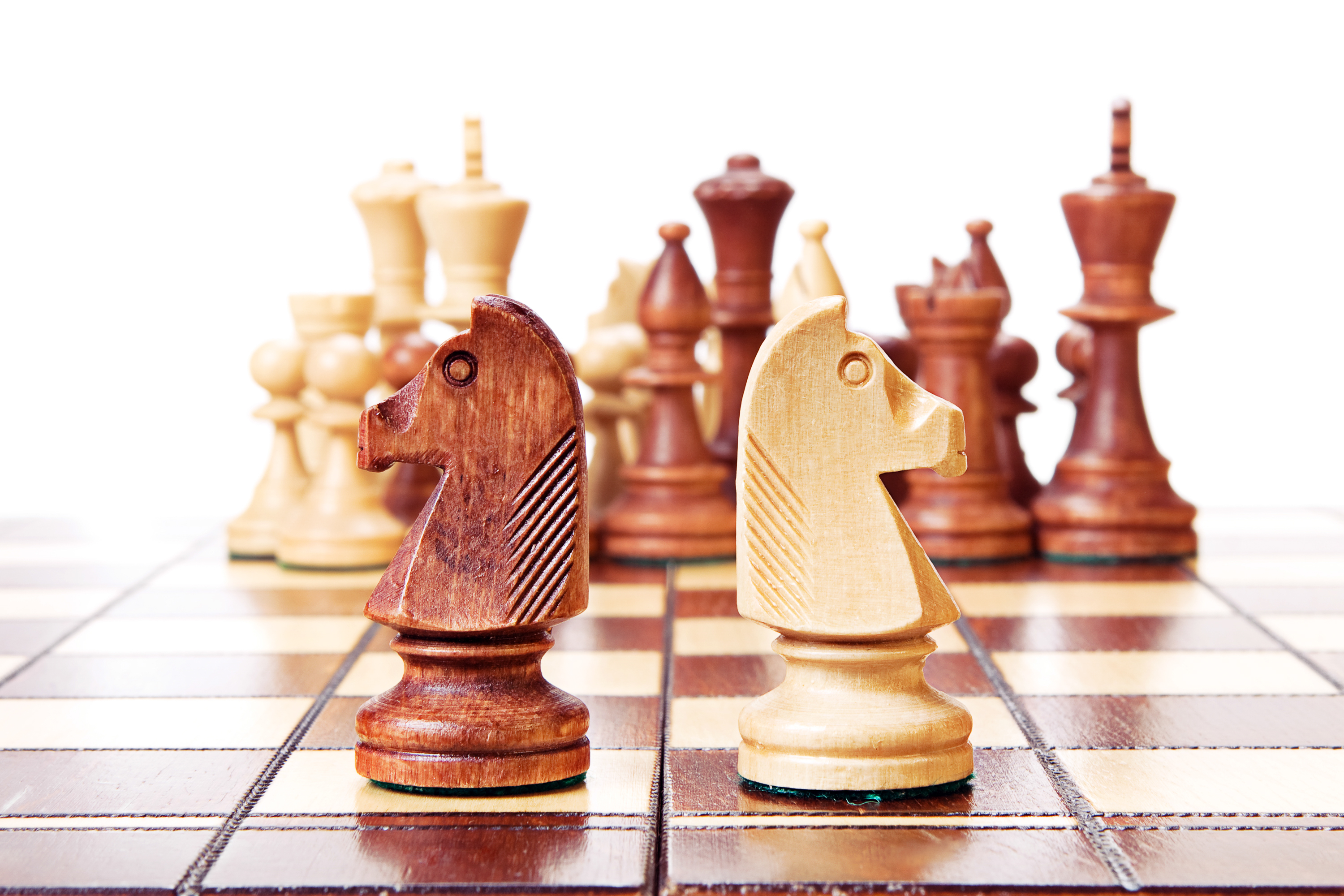 chess, Battle, Intelligence, White, Think, HQ Photo