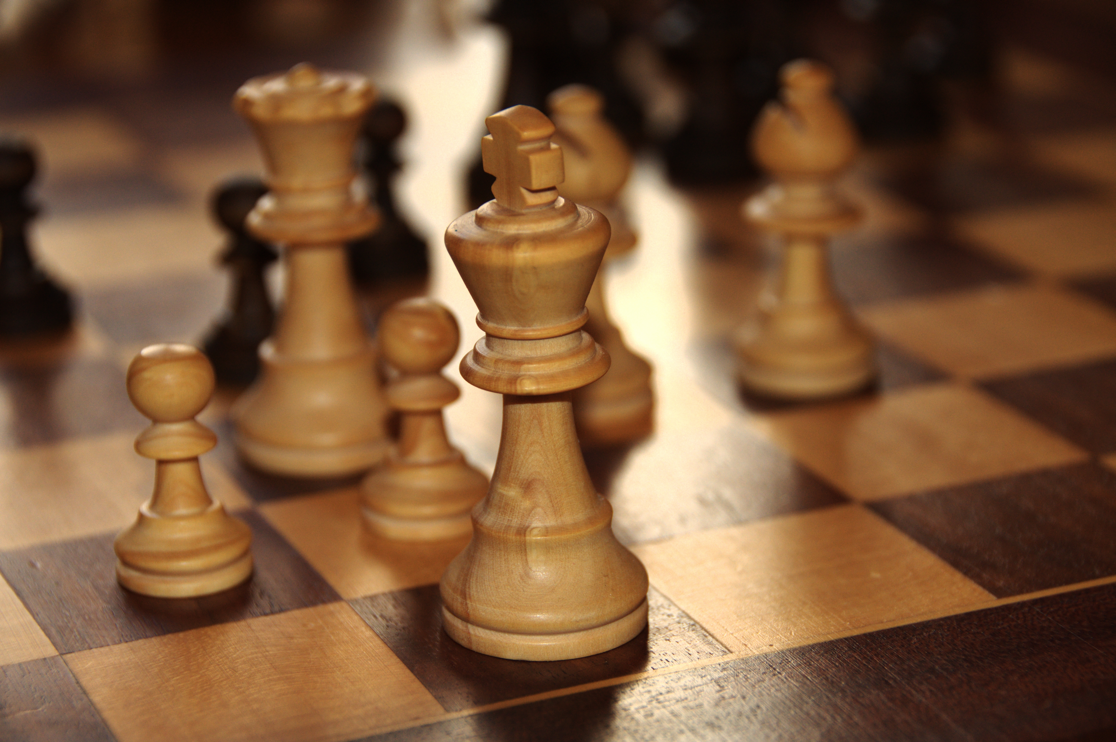 Chess Club battles in southwest championship | The University Star
