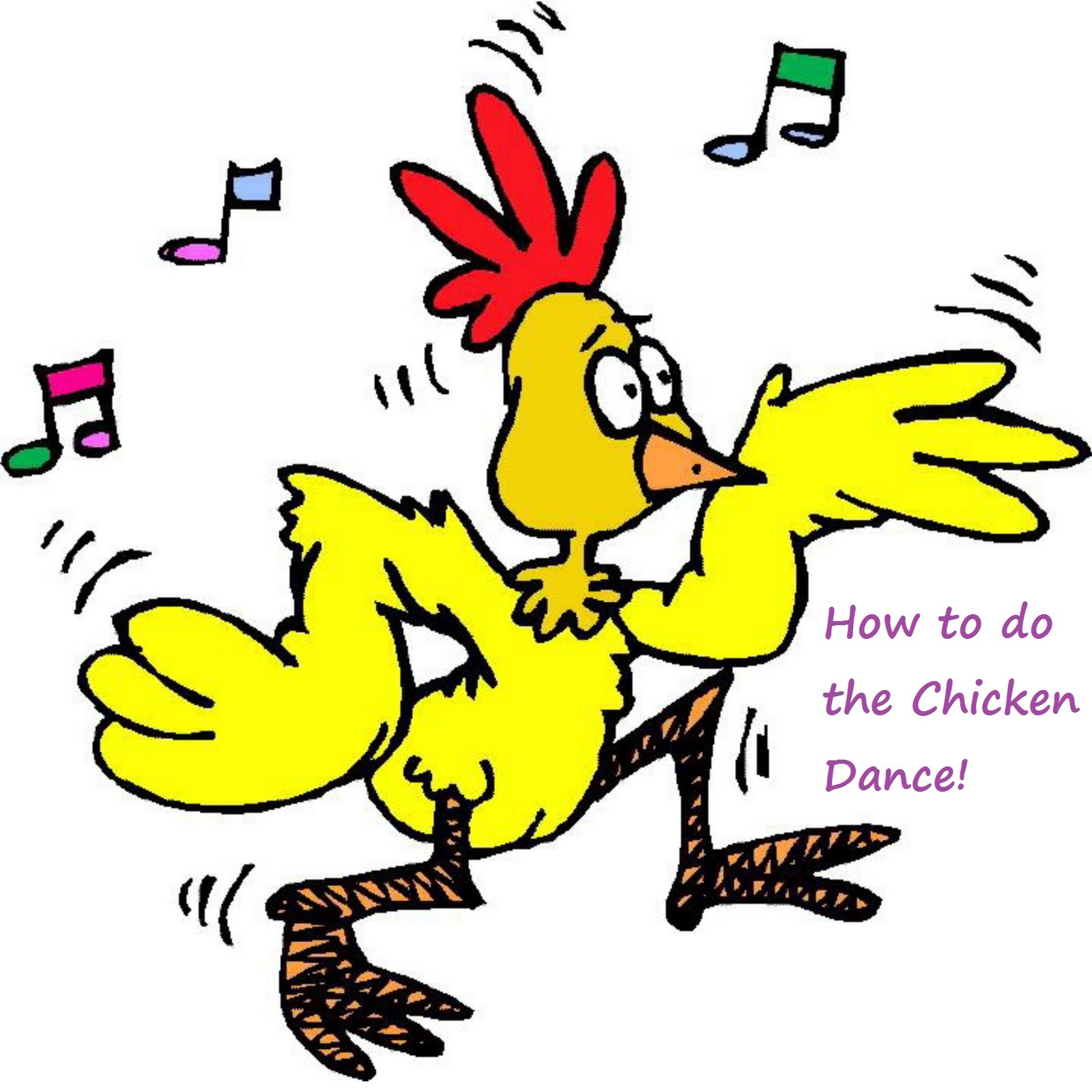 Chicken dance photo
